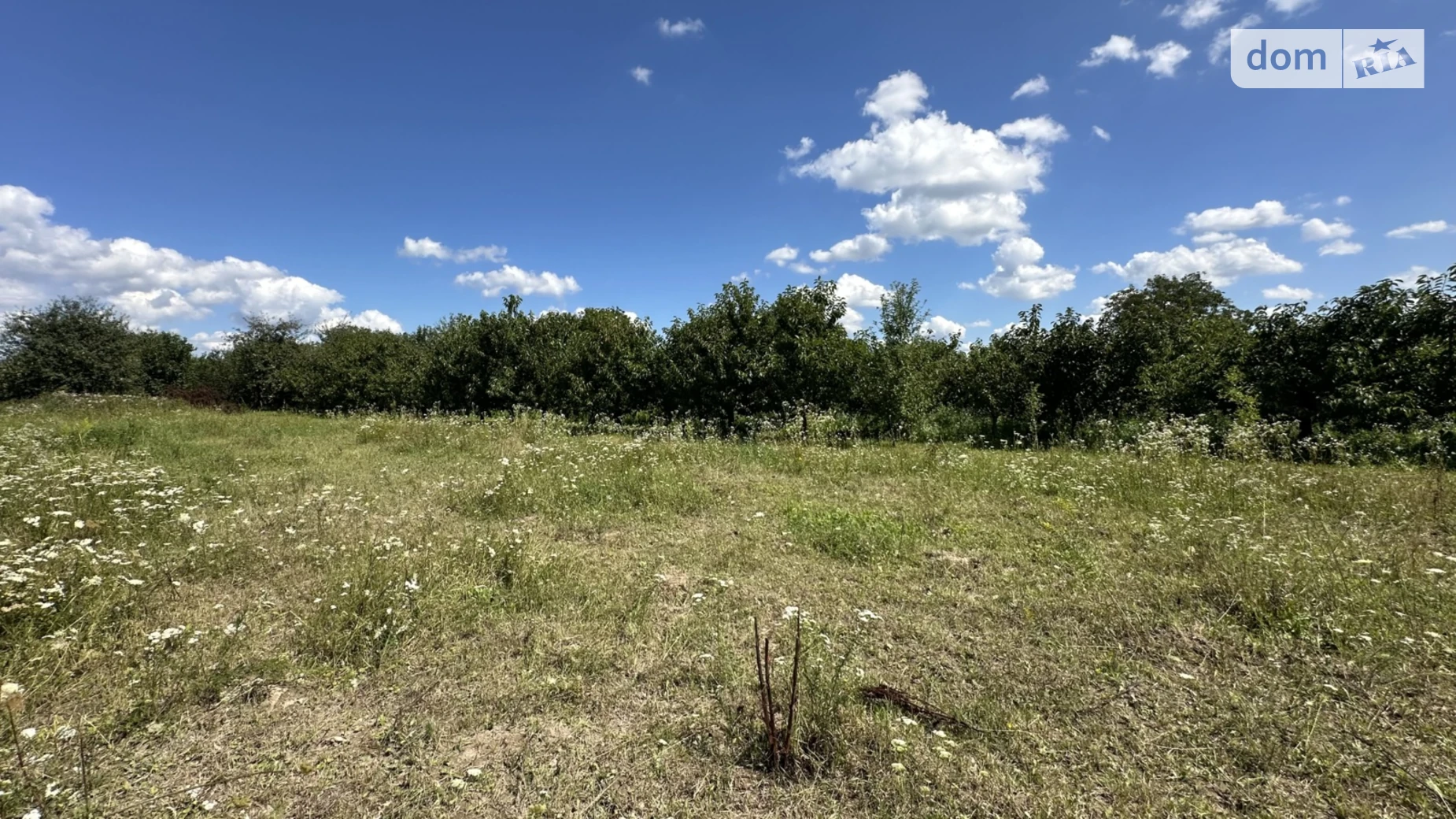 вул. Яремчука Якушинці, цена: 75000 $ - фото 5