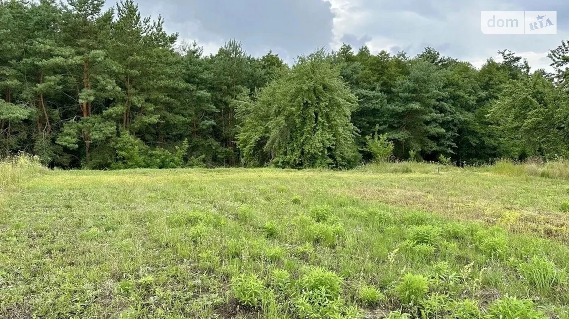 Продается земельный участок 10 соток в Черниговской области, цена: 9000 $ - фото 2