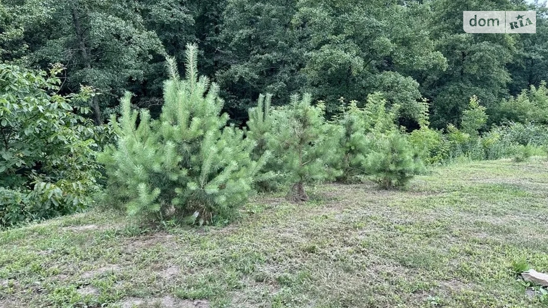 Продается земельный участок 10 соток в Черниговской области, цена: 9000 $ - фото 4