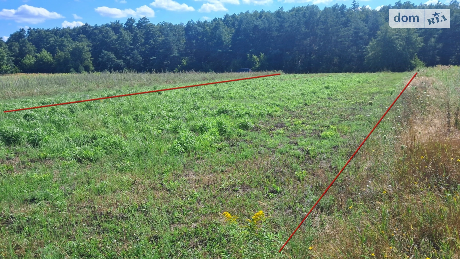 Продается земельный участок 10 соток в Черниговской области, цена: 9000 $ - фото 5