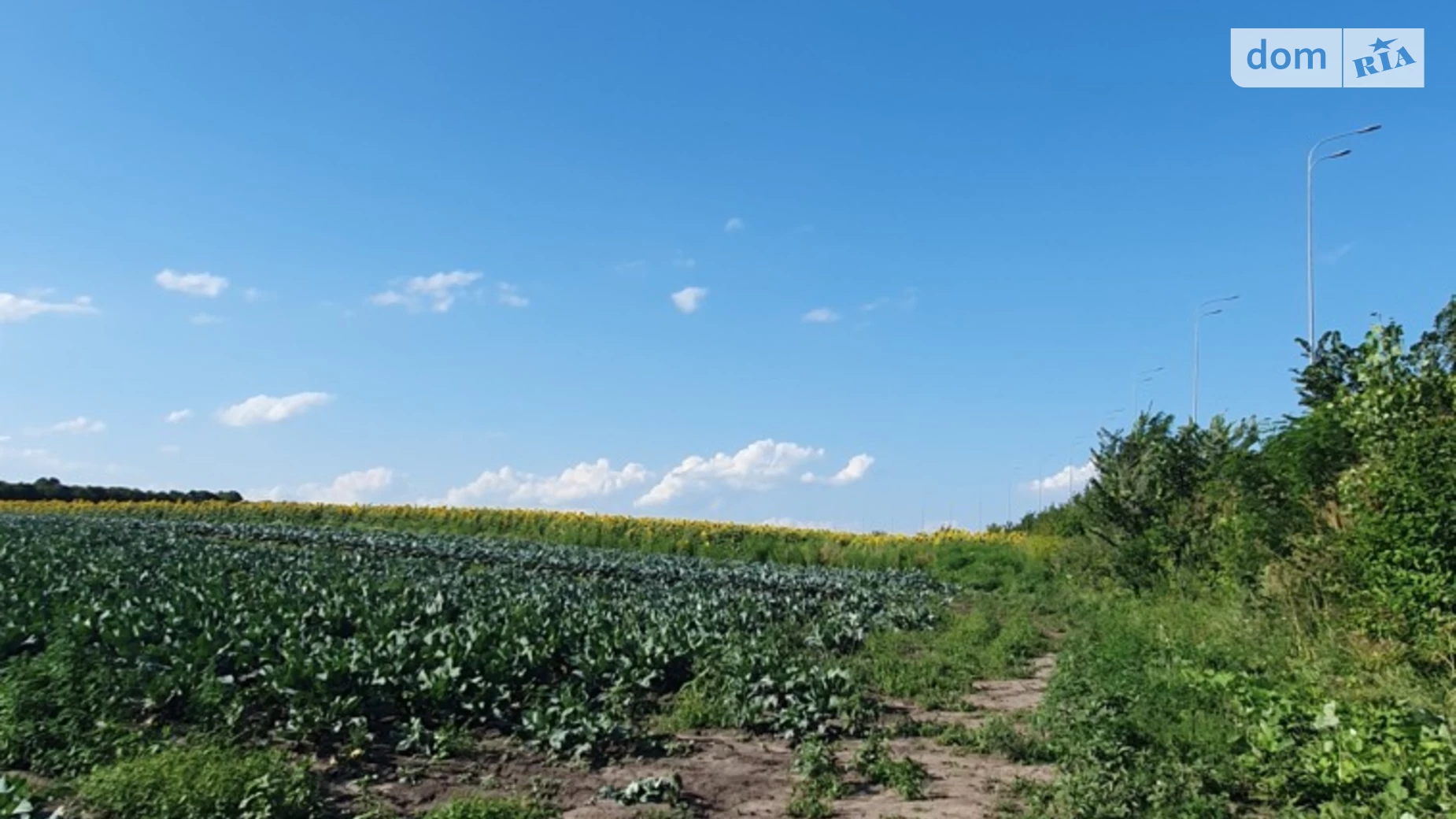 ул. Генерала Трейко Винница, цена: 65000 $ - фото 5