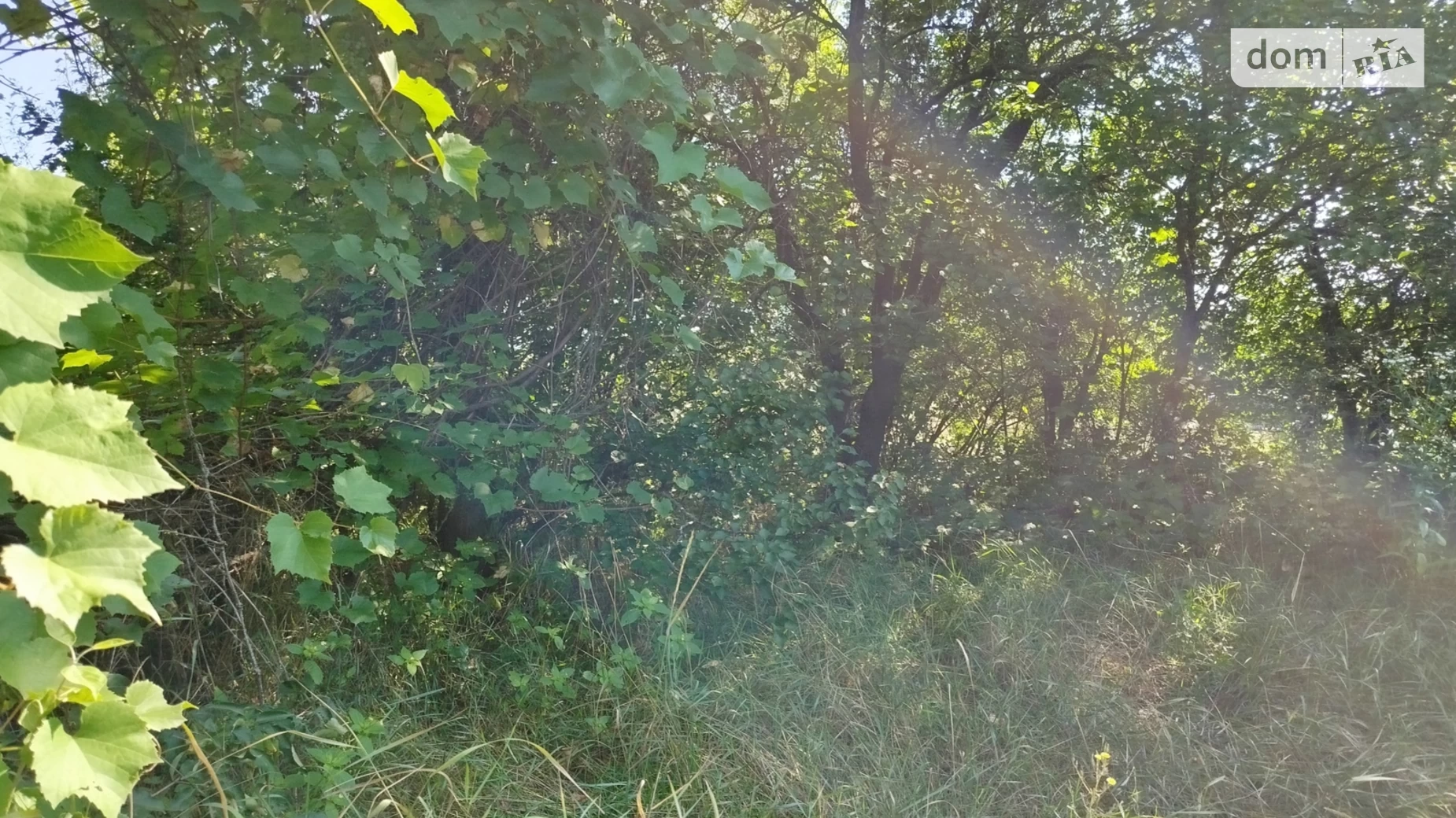 ул. Шевченка Козинцы, цена: 12500 $ - фото 3