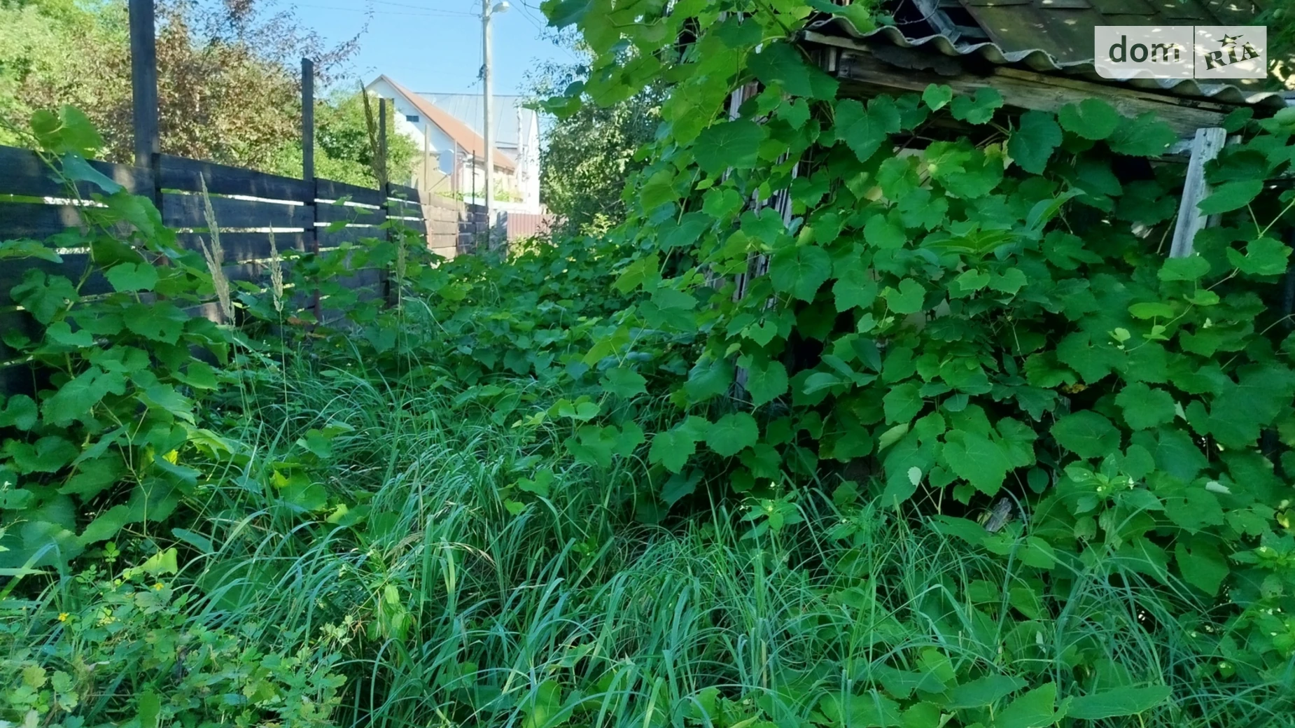 ул. Шевченка Козинцы, цена: 12500 $ - фото 4