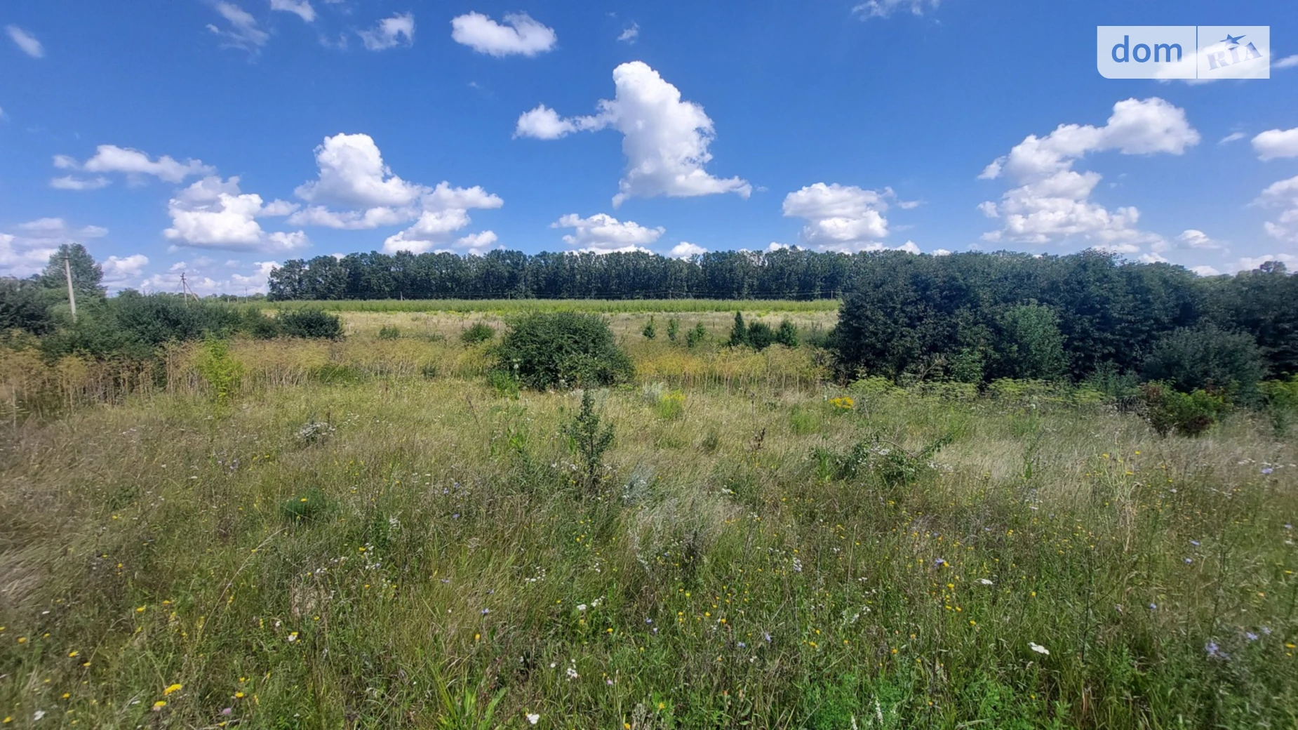 Ровец, цена: 200000 $ - фото 4