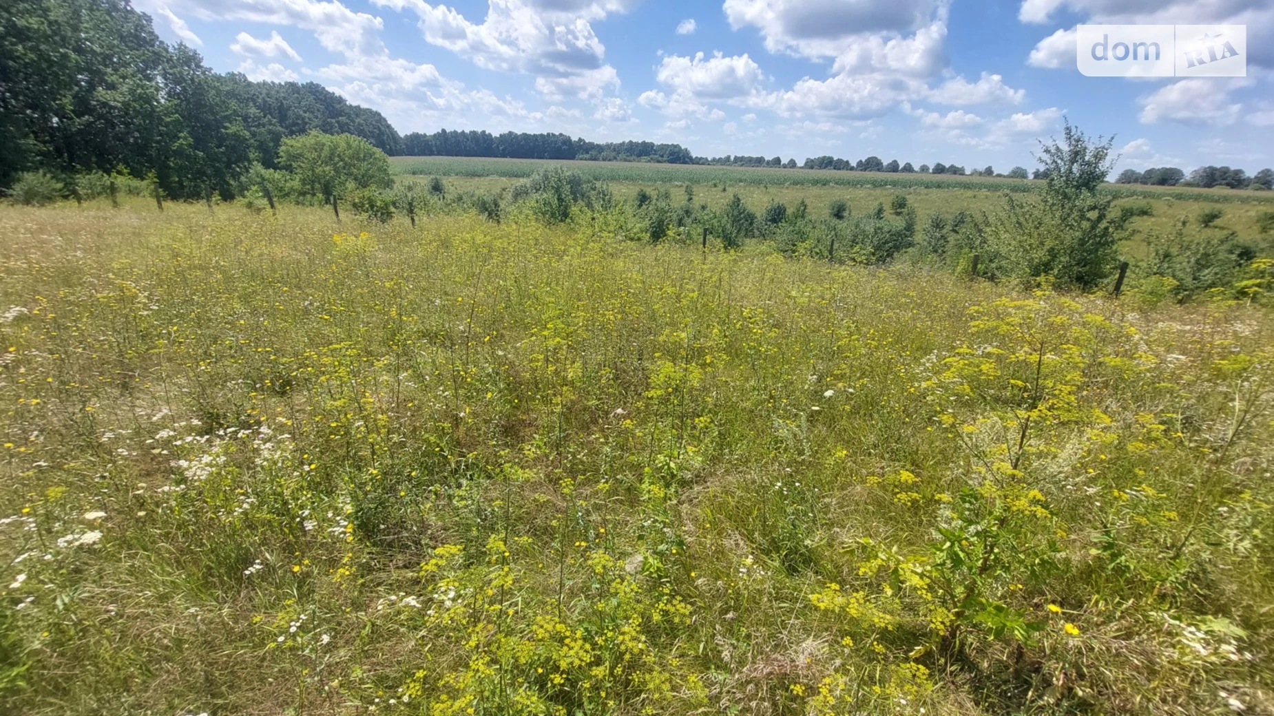 Ровец, цена: 200000 $ - фото 3