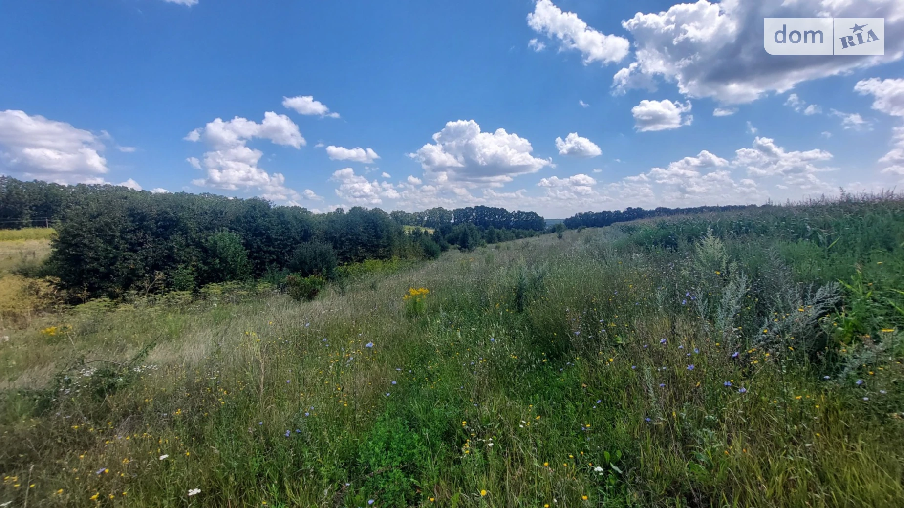 Ровец, цена: 200000 $ - фото 5