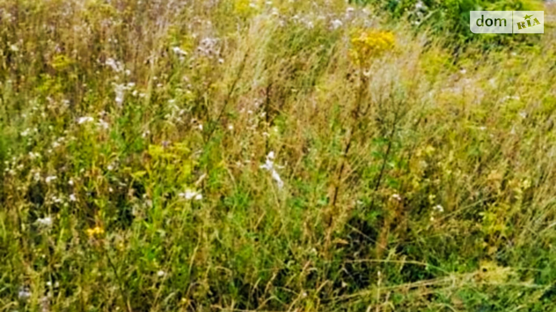 ул. В. Черновола Байковцы, цена: 20000 $ - фото 3