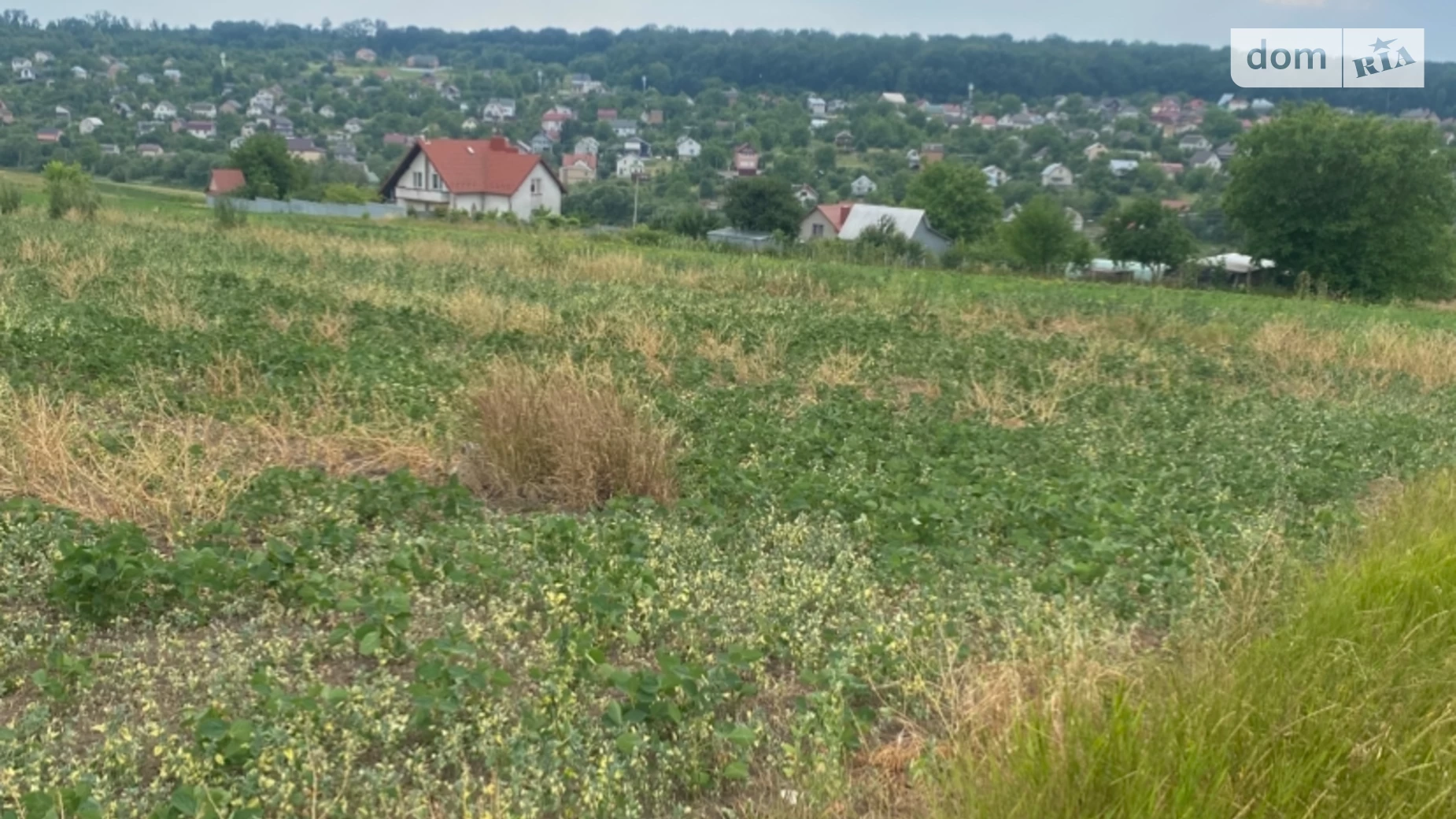Продается земельный участок 10 соток в Тернопольской области, цена: 460000 грн - фото 2