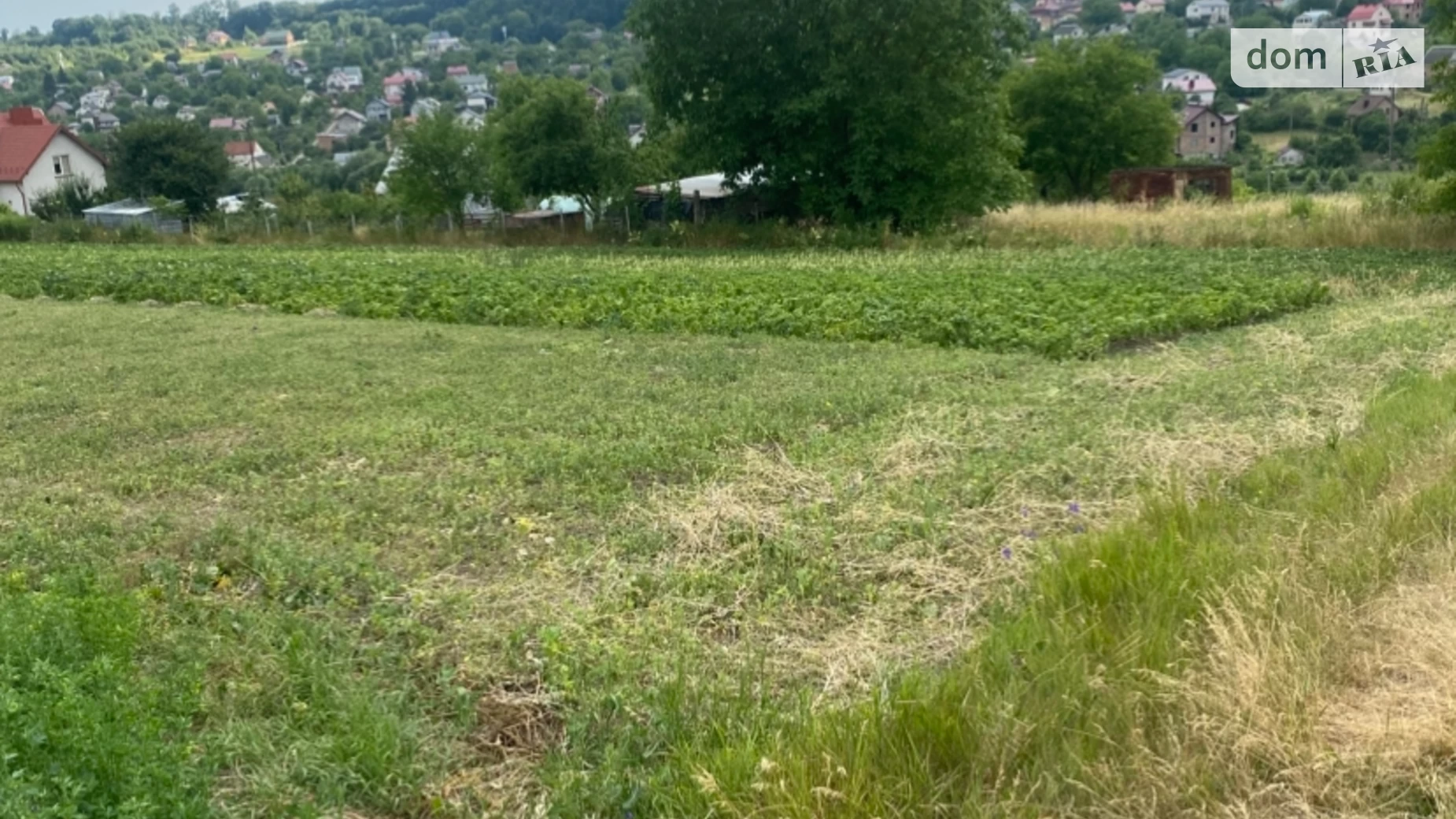 Продается земельный участок 10 соток в Тернопольской области, цена: 460000 грн - фото 4