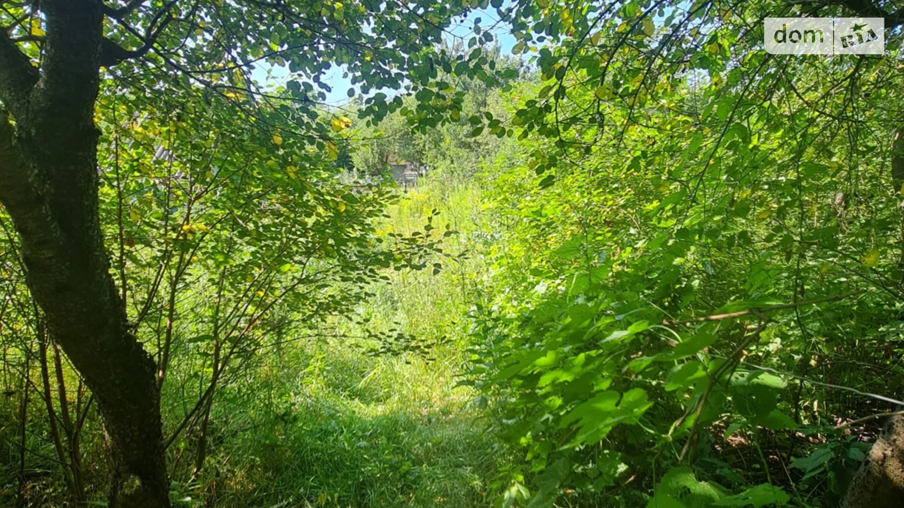 СТ Вільха Васильків, цена: 21000 $ - фото 2