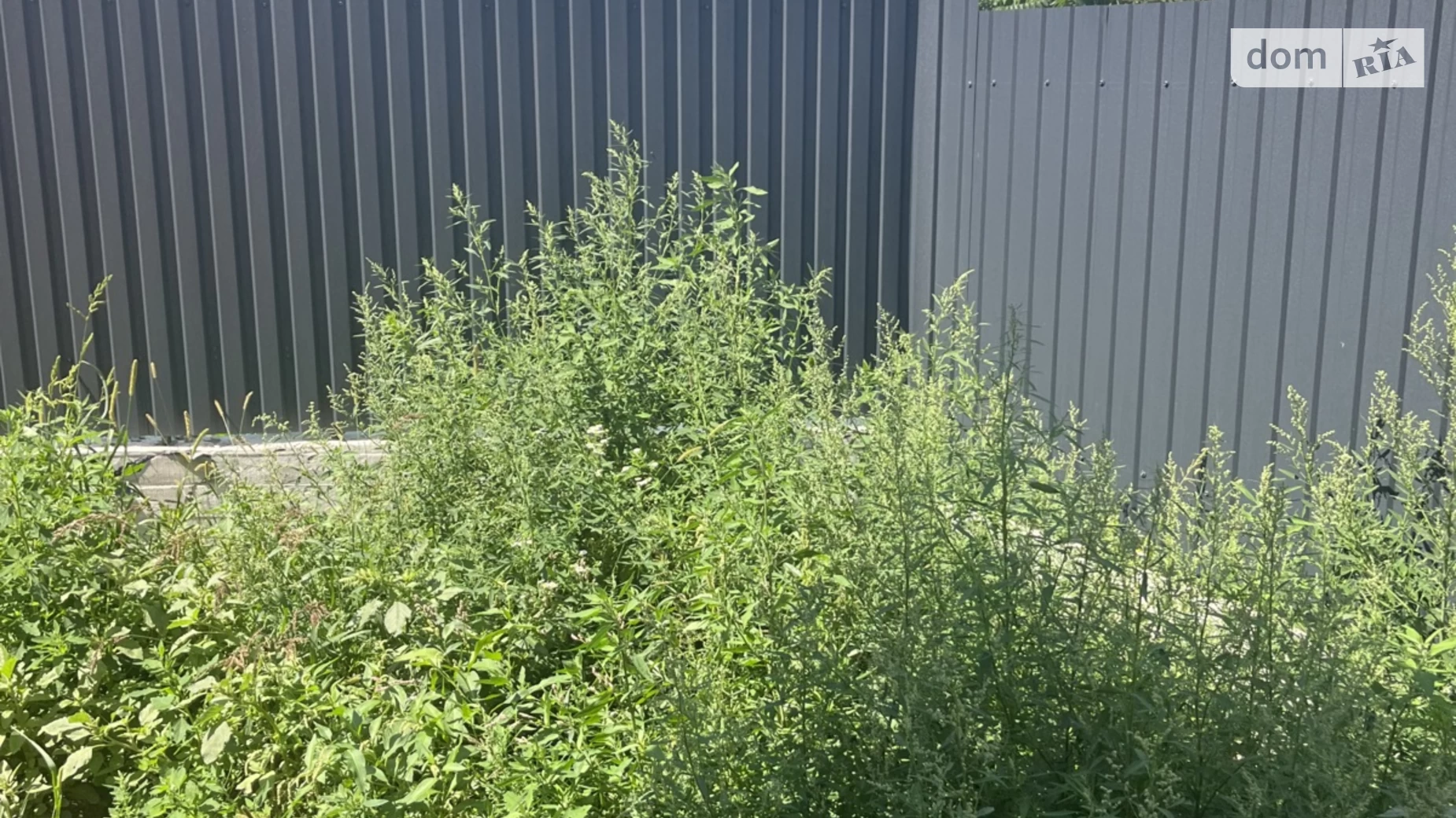 Продается одноэтажный дом 85 кв. м с верандой, цена: 79000 $ - фото 5