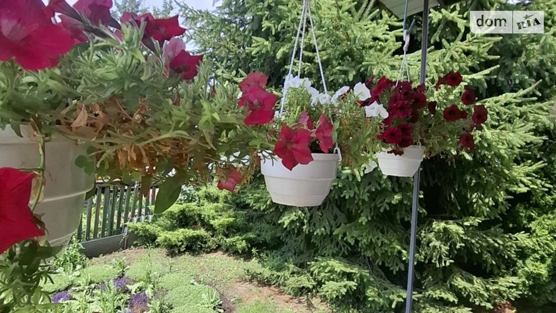 Продается одноэтажный дом 56 кв. м с подвалом, цена: 59900 $ - фото 3