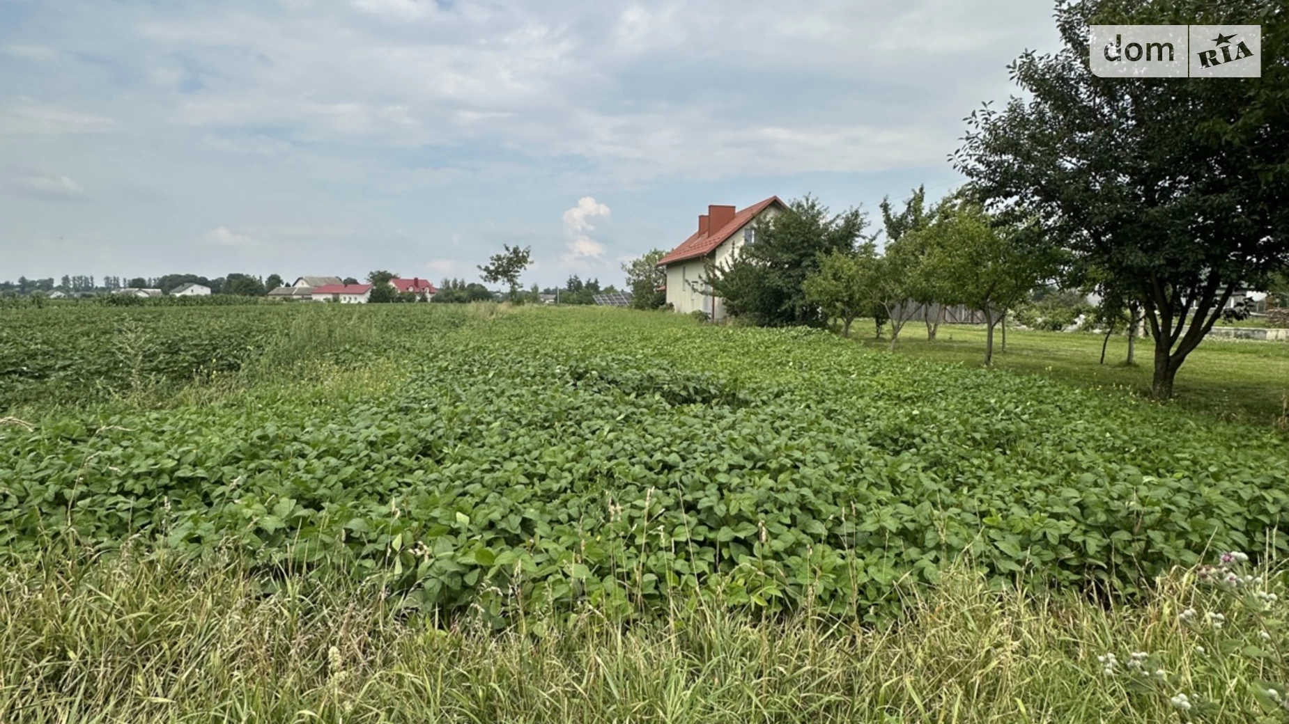 Продается земельный участок 15 соток в Тернопольской области, цена: 7000 $ - фото 2