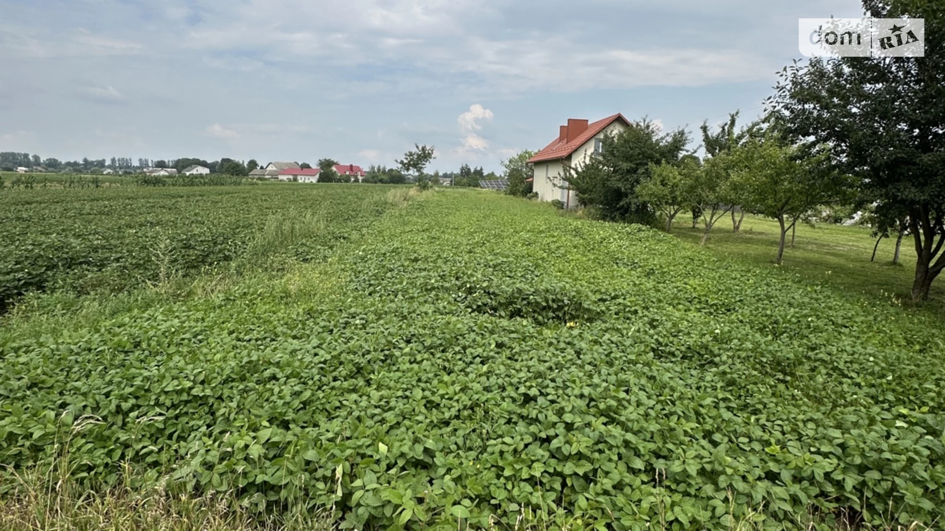 Продается земельный участок 15 соток в Тернопольской области, цена: 7000 $ - фото 3