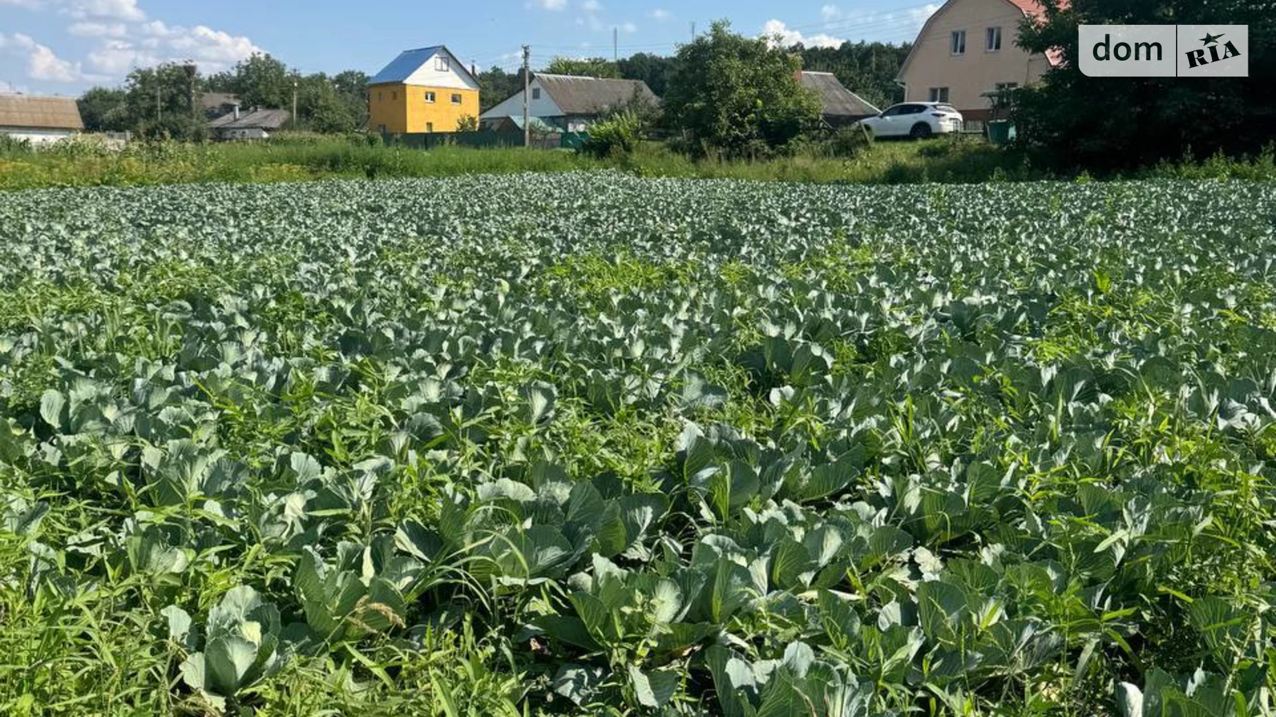 Селище (Тывров), цена: 15000 $ - фото 5