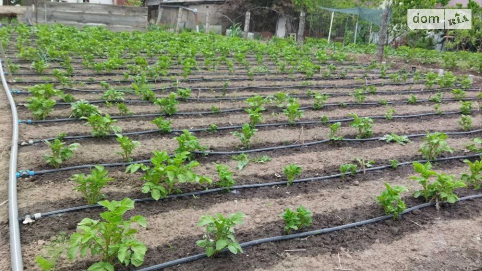 Продается одноэтажный дом 50 кв. м с беседкой, цена: 30000 $ - фото 4