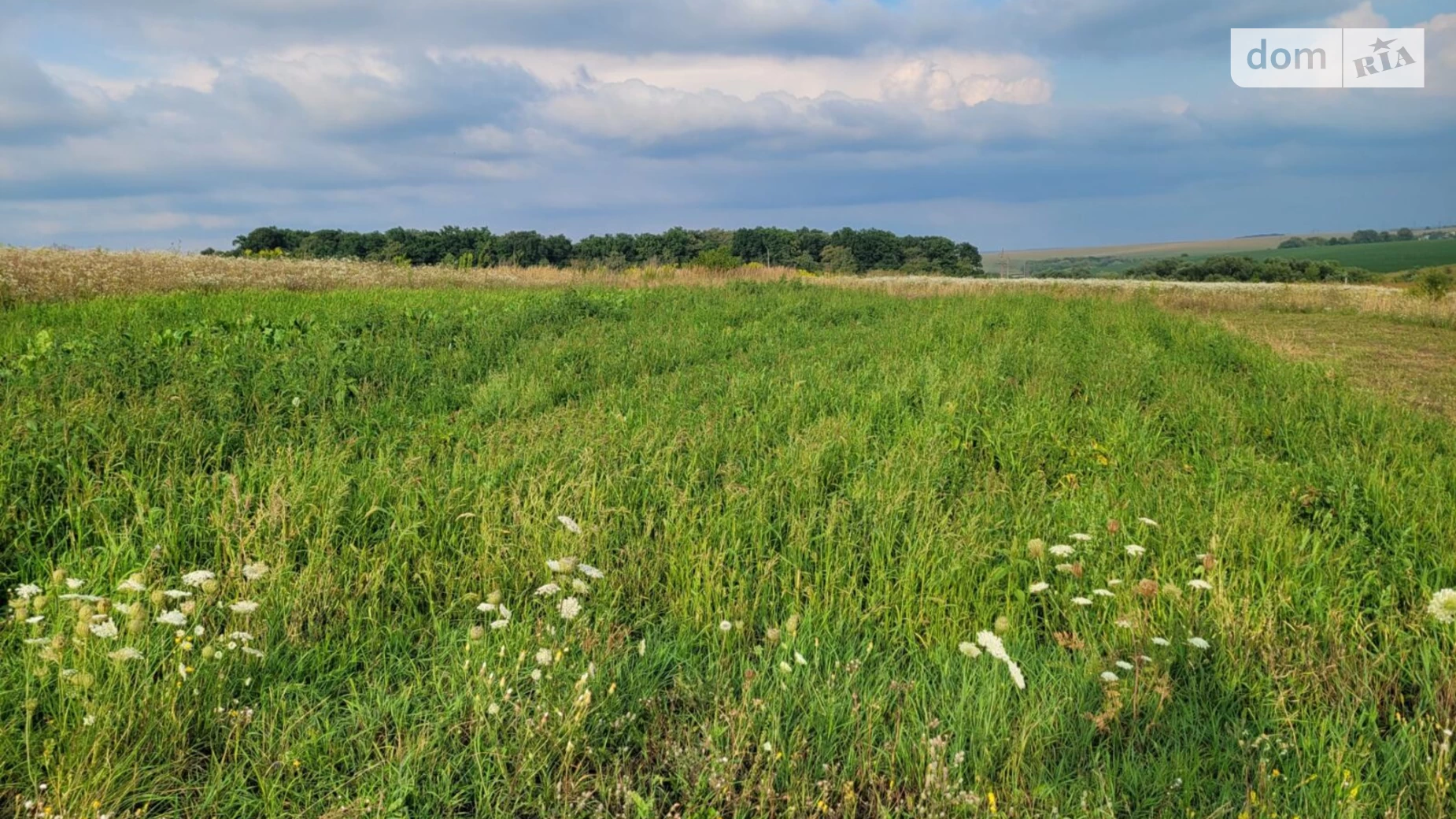 Байківці, цена: 22000 $ - фото 3