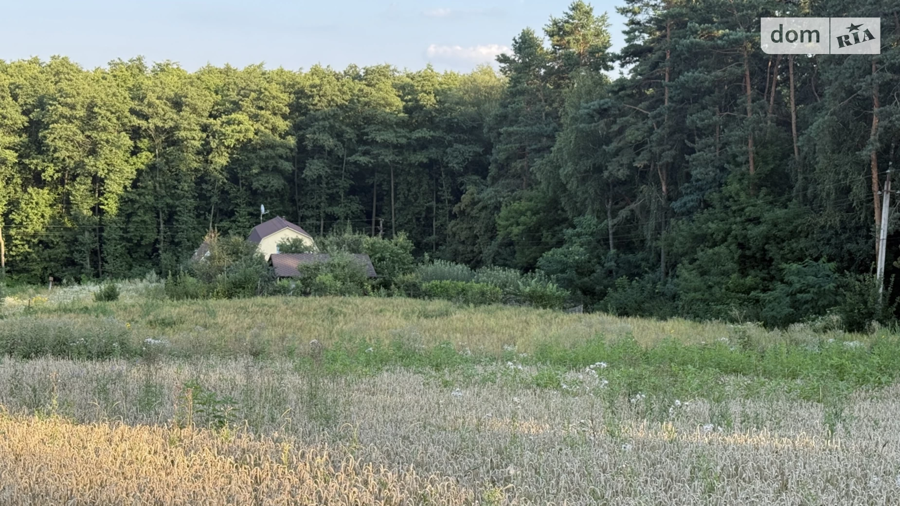 Бохоники, цена: 75000 $ - фото 2
