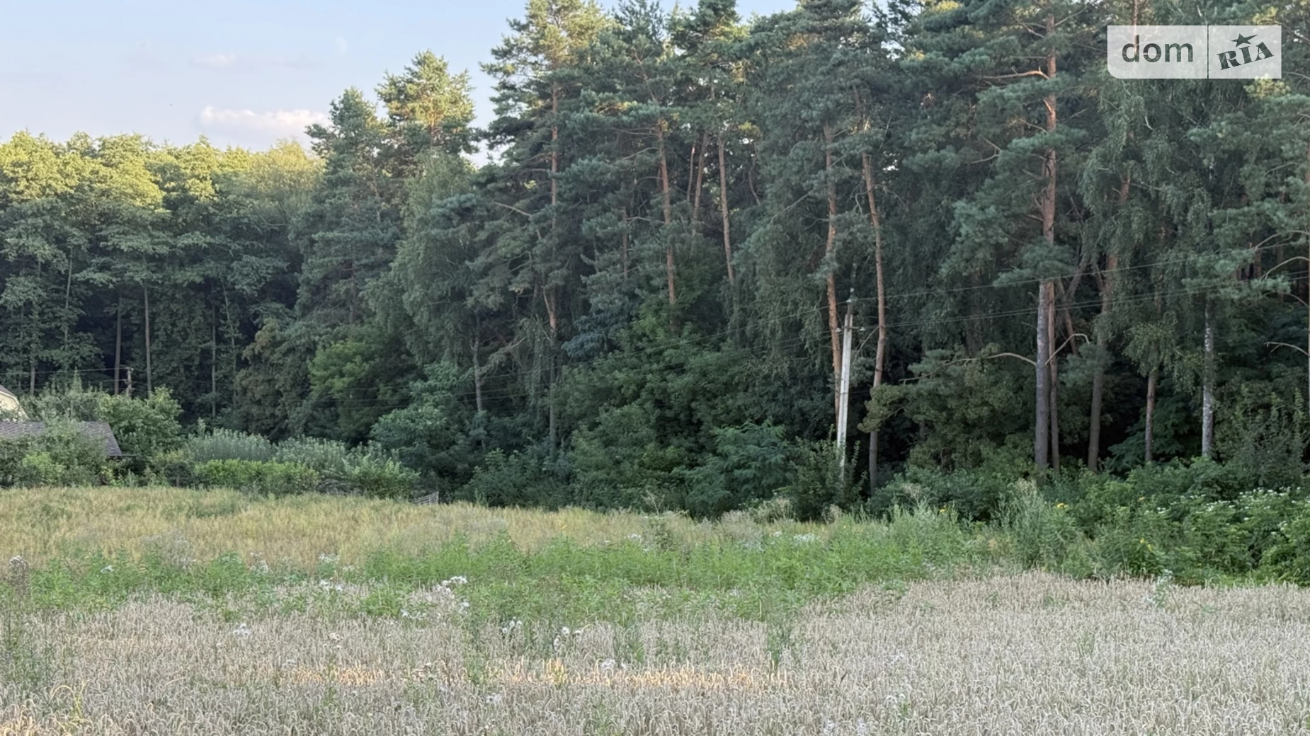 Бохоники, цена: 75000 $ - фото 3