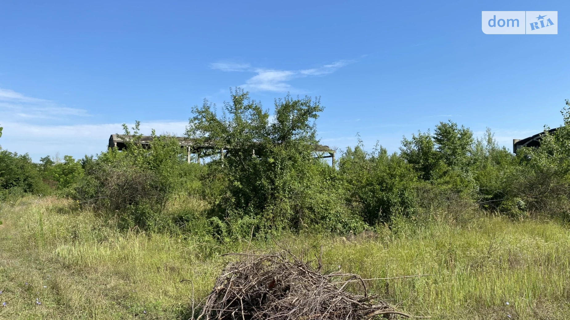 Чепа, цена: 200000 $ - фото 4