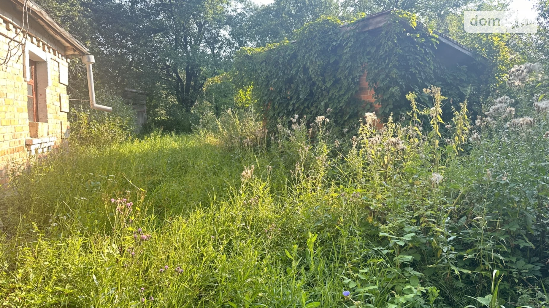 Продается одноэтажный дом 54 кв. м с садом, цена: 5000 $ - фото 3