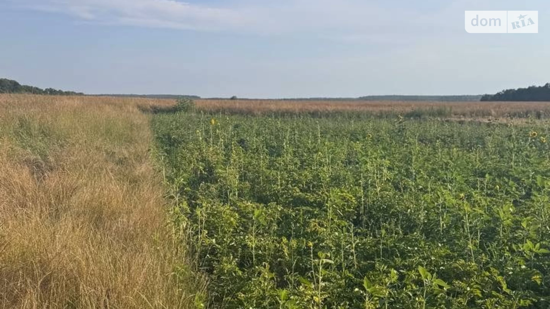 Якушинцы, цена: 215000 $ - фото 4