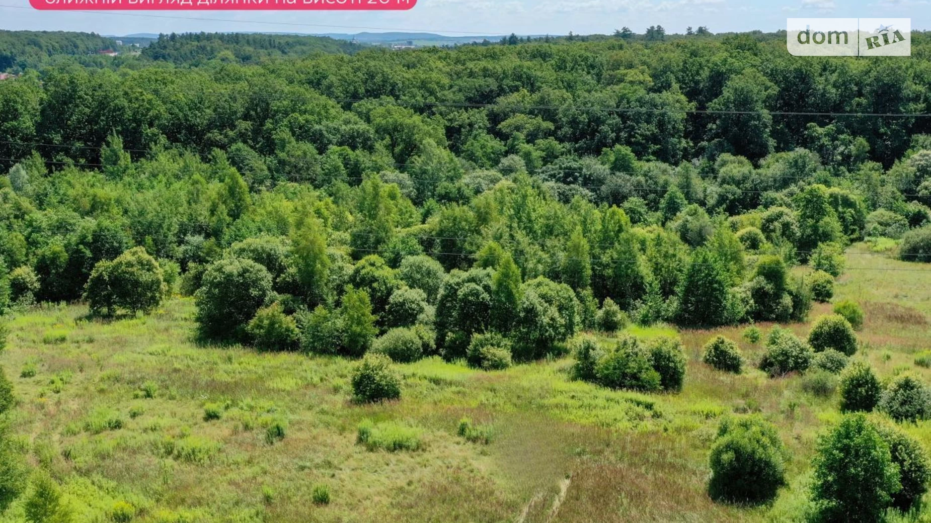 Пасеки-Зубрицкие, цена: 50000 $ - фото 5