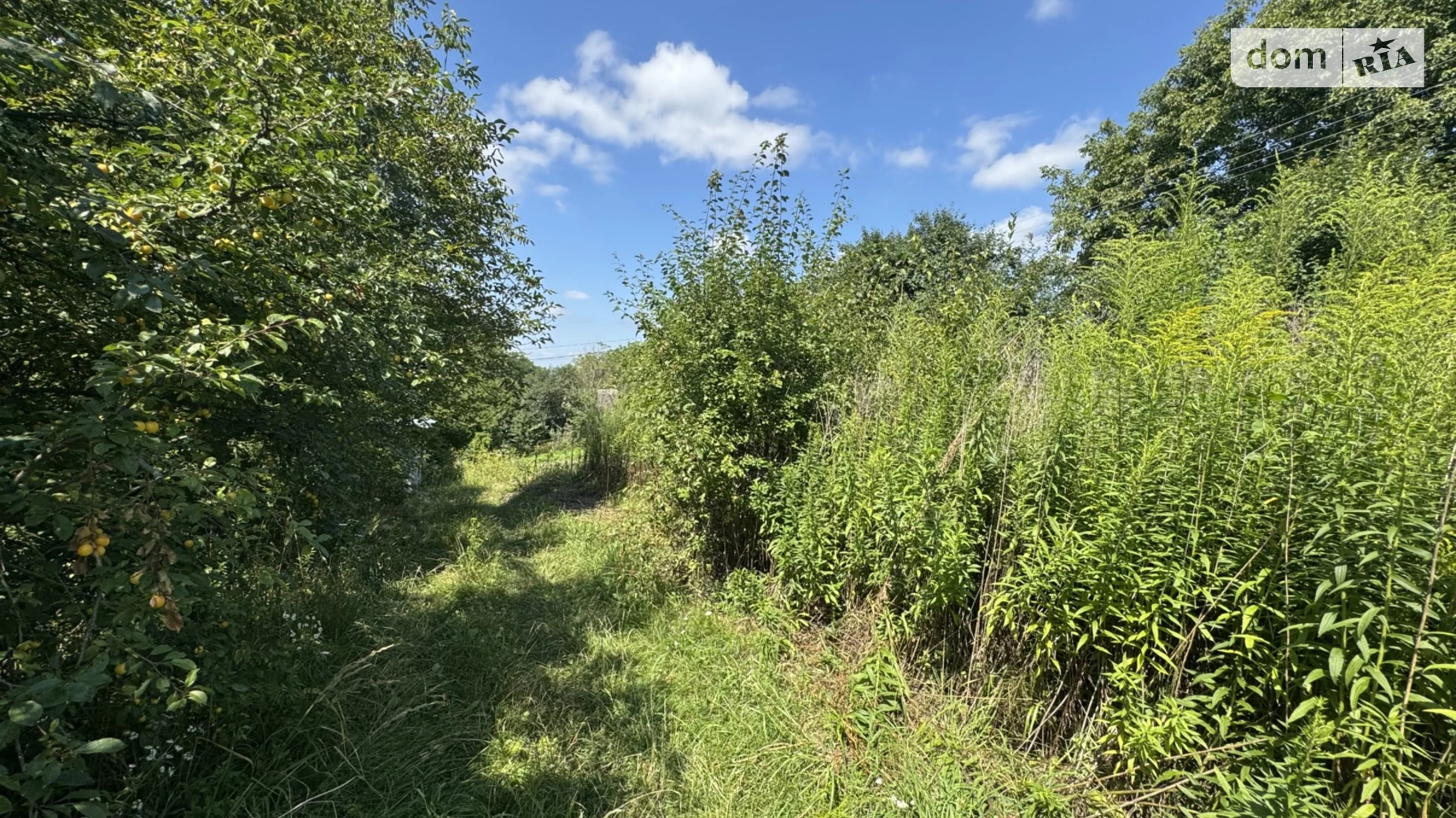 Продається земельна ділянка 15 соток у  області, цена: 27000 $ - фото 5