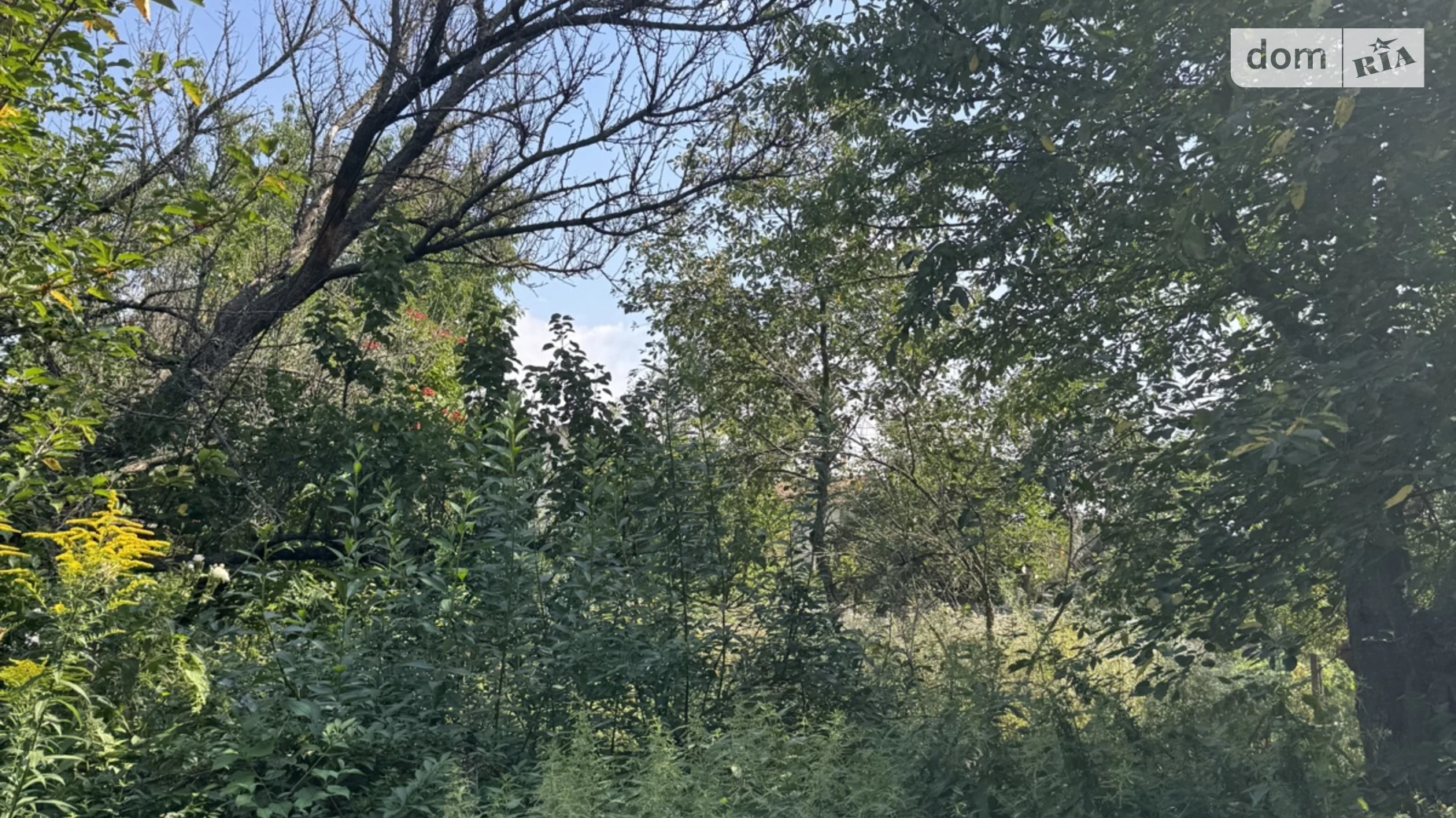 Продается земельный участок 7 соток в Винницкой области, цена: 30000 $ - фото 3