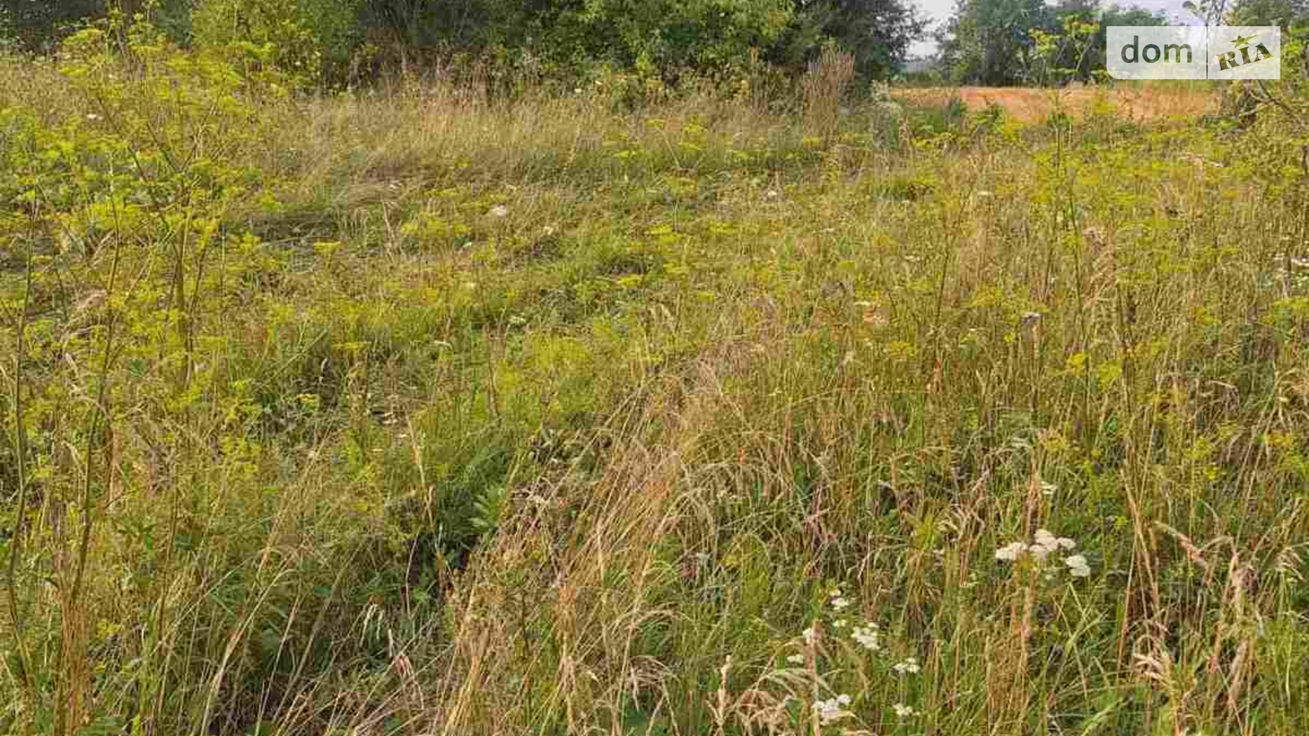 Продается земельный участок 25 соток в Тернопольской области, цена: 15000 $ - фото 5