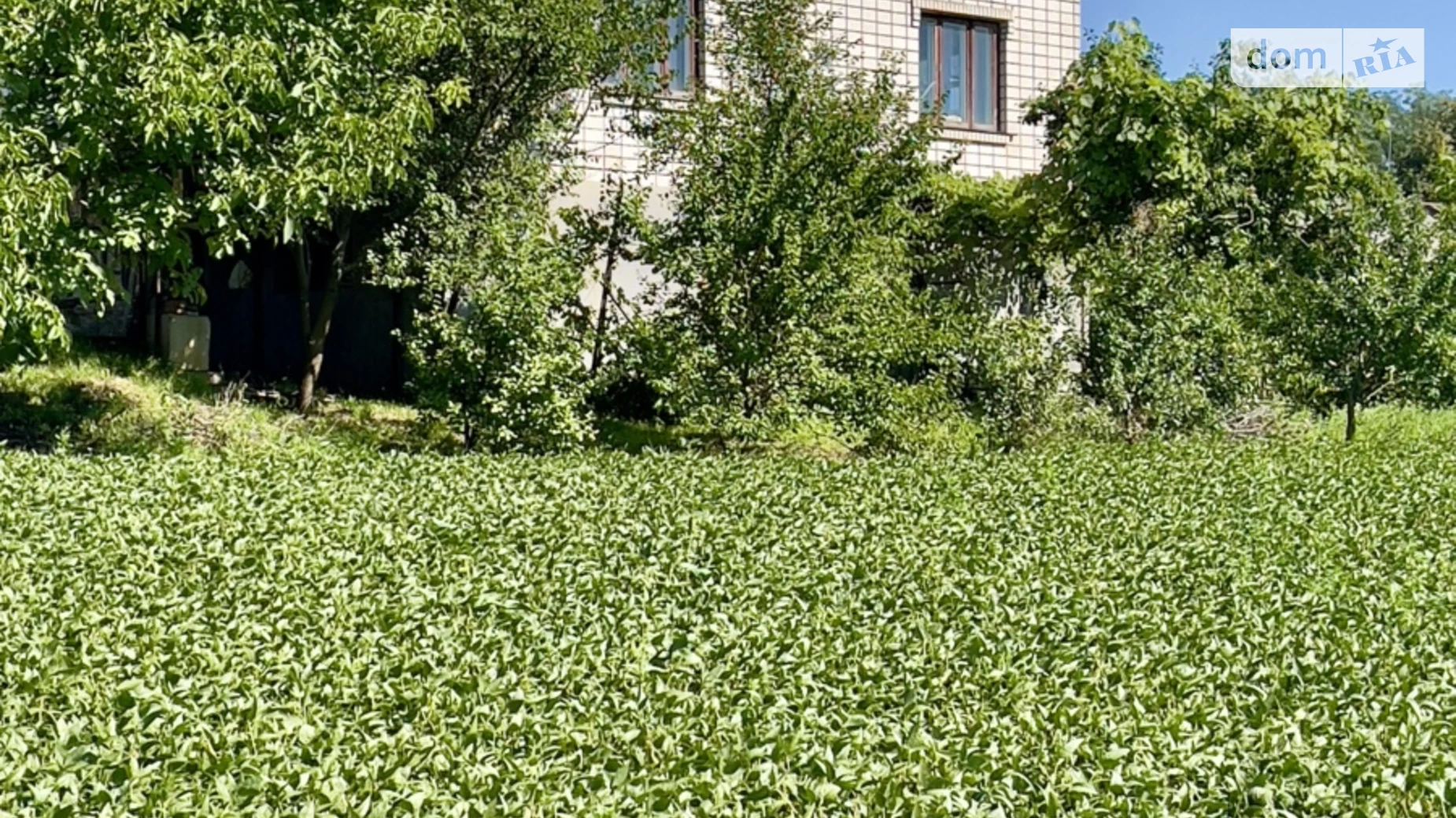 Продается одноэтажный дом 122.9 кв. м с беседкой, цена: 35000 $ - фото 2