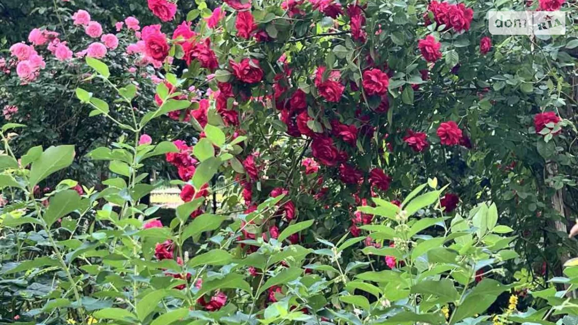 Продается 3-комнатная квартира 62 кв. м в Харькове, ул. Академика Павлова, 313Б - фото 4