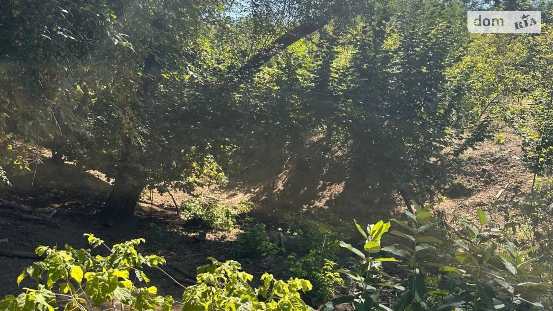 Продается земельный участок 1.8 соток в Киевской области, цена: 207000 $ - фото 3