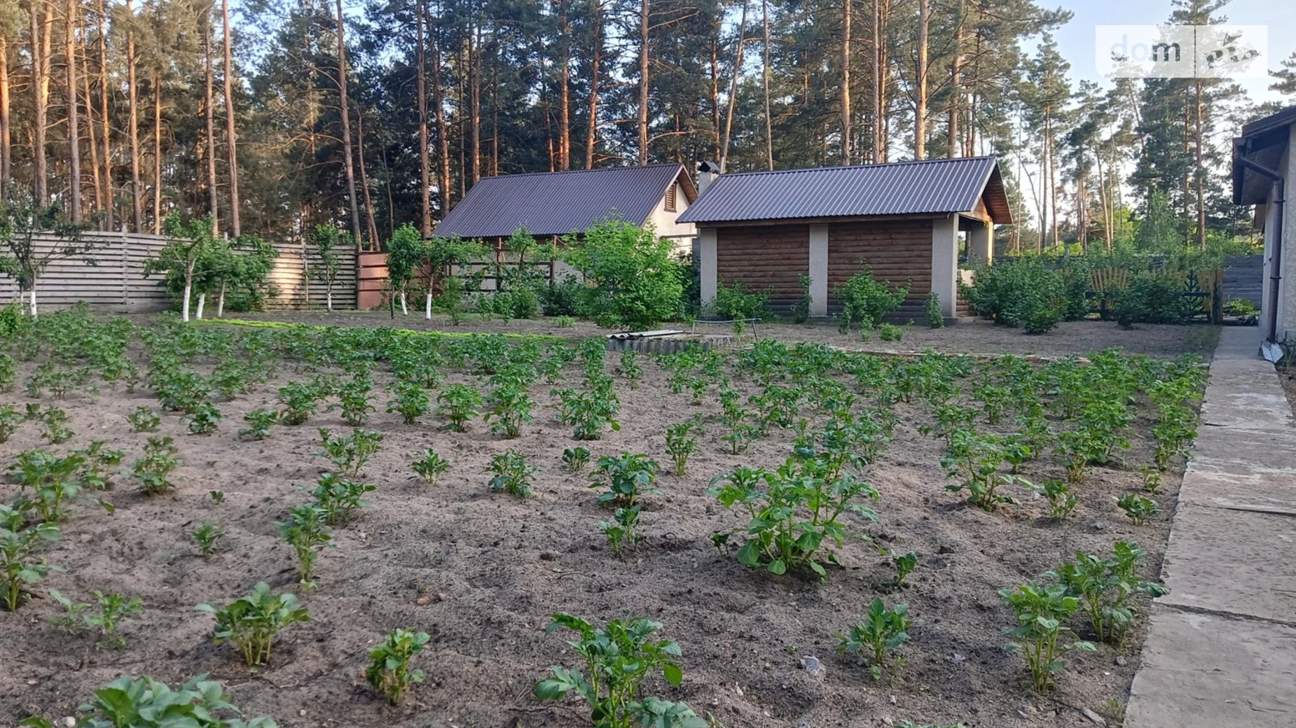 Продается одноэтажный дом 75.2 кв. м с подвалом, цена: 70000 $ - фото 4