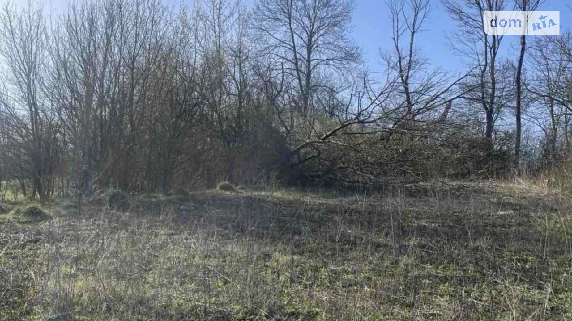Продається земельна ділянка 30 соток у Хмельницькій області, цена: 15000 $ - фото 3