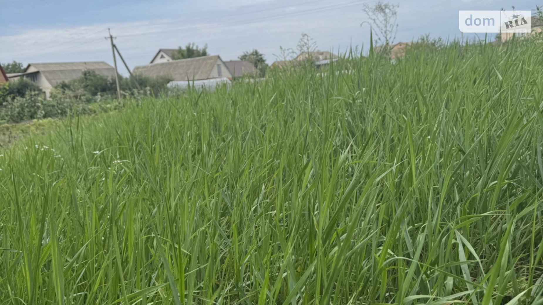 Продается земельный участок 18 соток в Винницкой области, цена: 57000 $ - фото 2