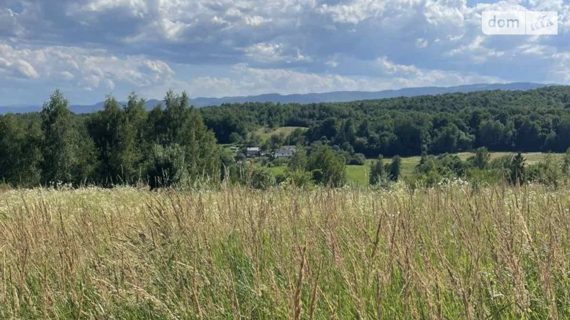 Продається земельна ділянка 25 соток у Івано-Франківській області, цена: 25000 $ - фото 2