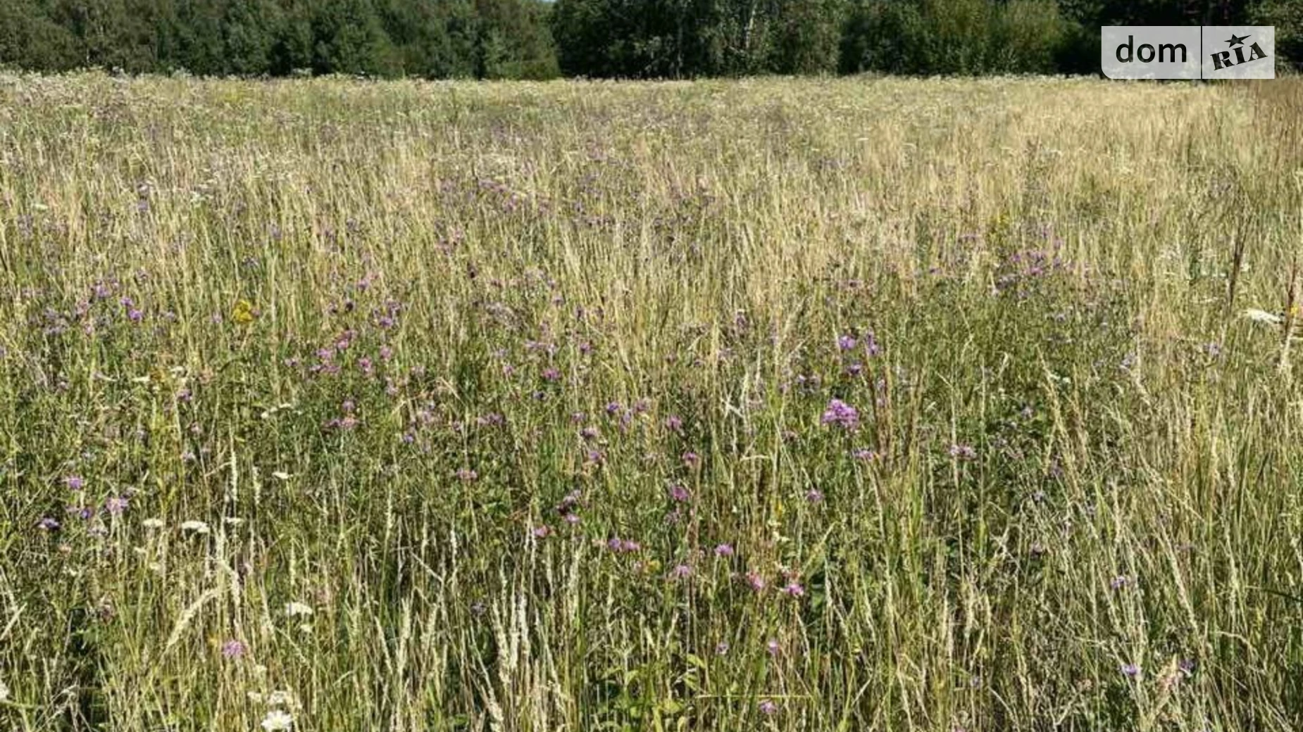 Продається земельна ділянка 25 соток у Івано-Франківській області, цена: 25000 $ - фото 5