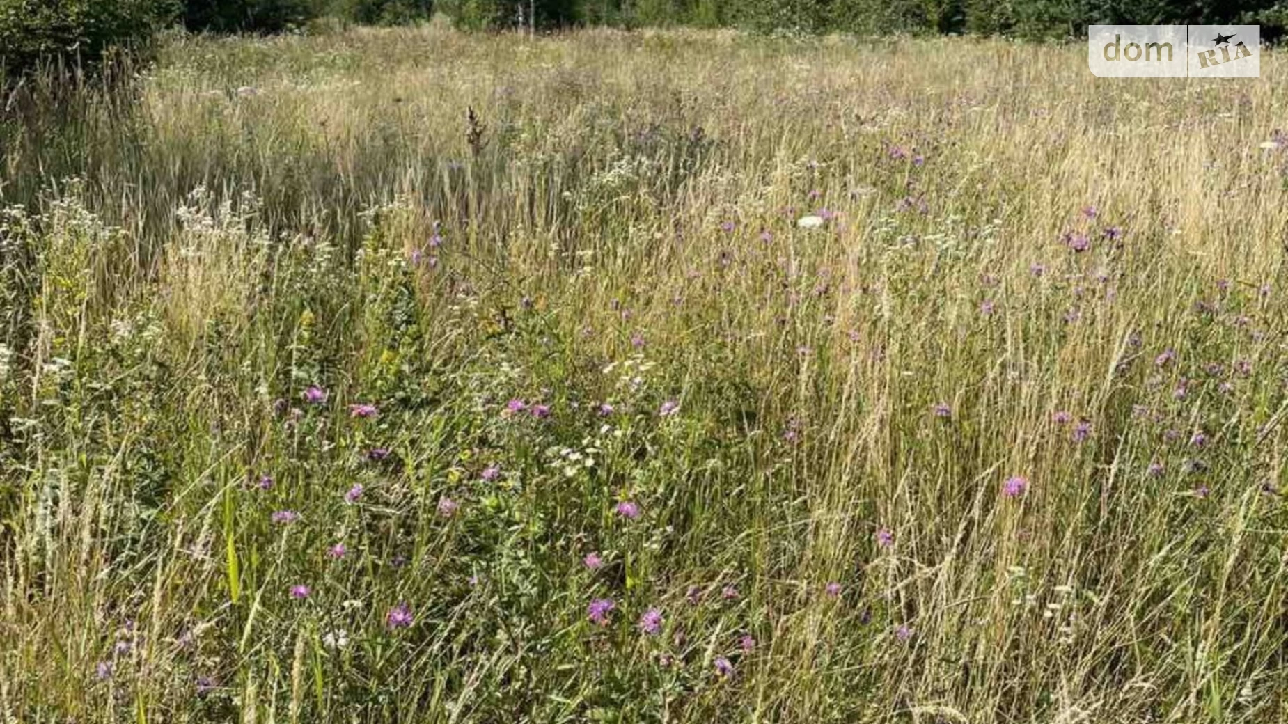 Продається земельна ділянка 25 соток у Івано-Франківській області, цена: 25000 $ - фото 4