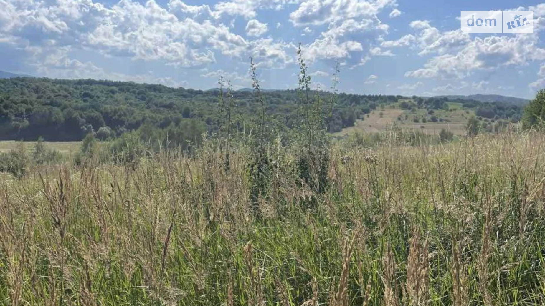 Продається земельна ділянка 25 соток у Івано-Франківській області, цена: 25000 $ - фото 3