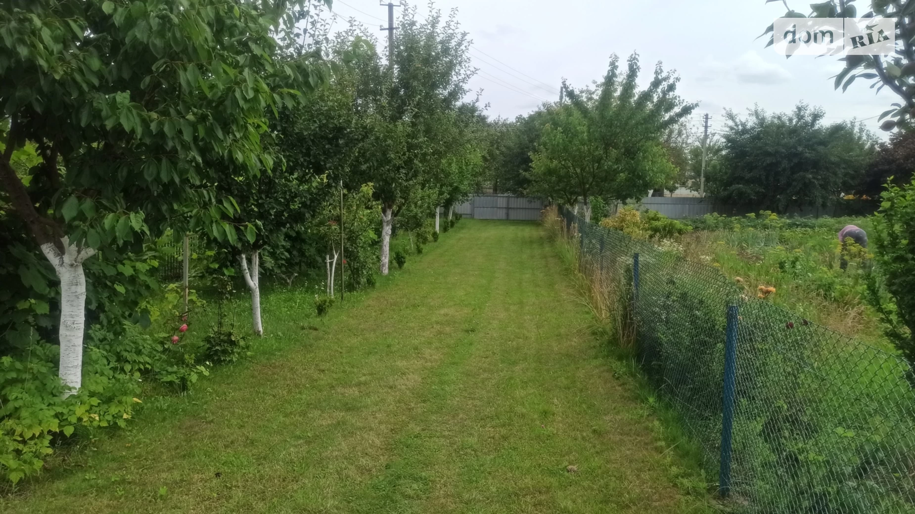 Продается одноэтажный дом 57.3 кв. м с подвалом, цена: 36000 $ - фото 4