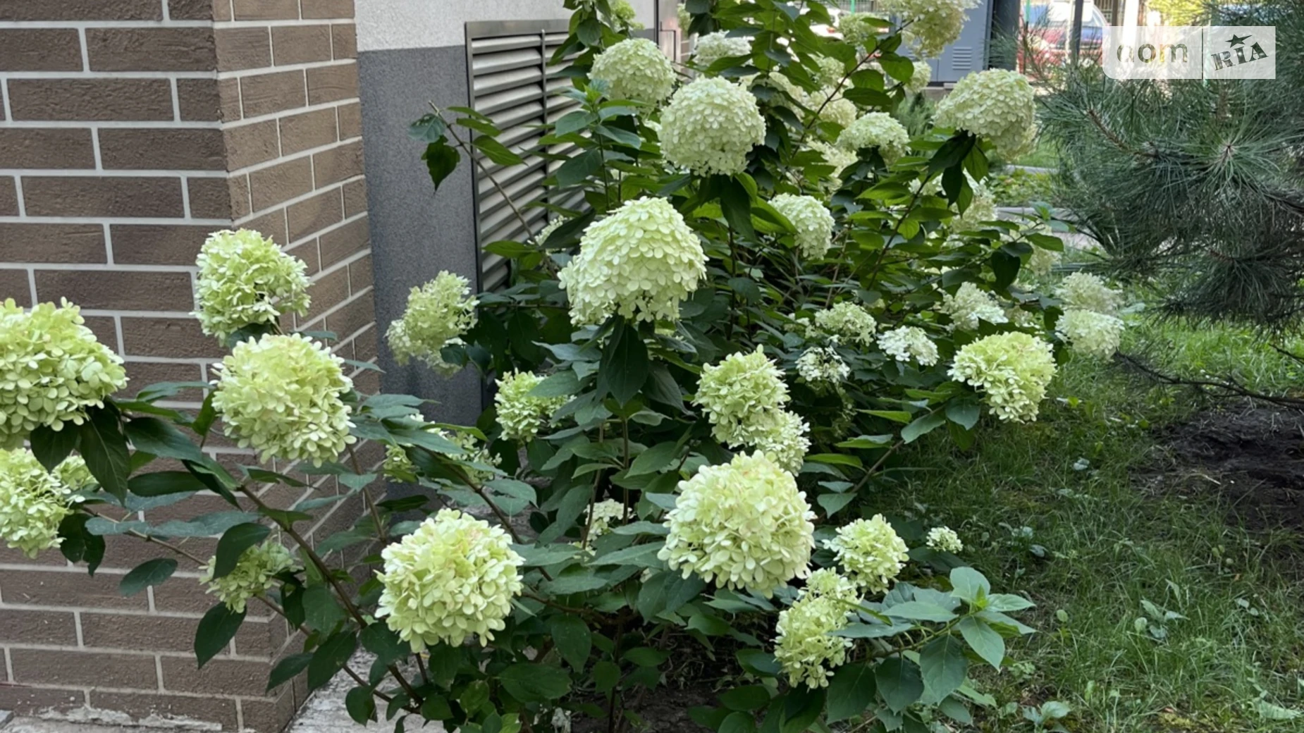 Продається 1-кімнатна квартира 43 кв. м у Одесі, вул. Профспілкова, 9А - фото 4