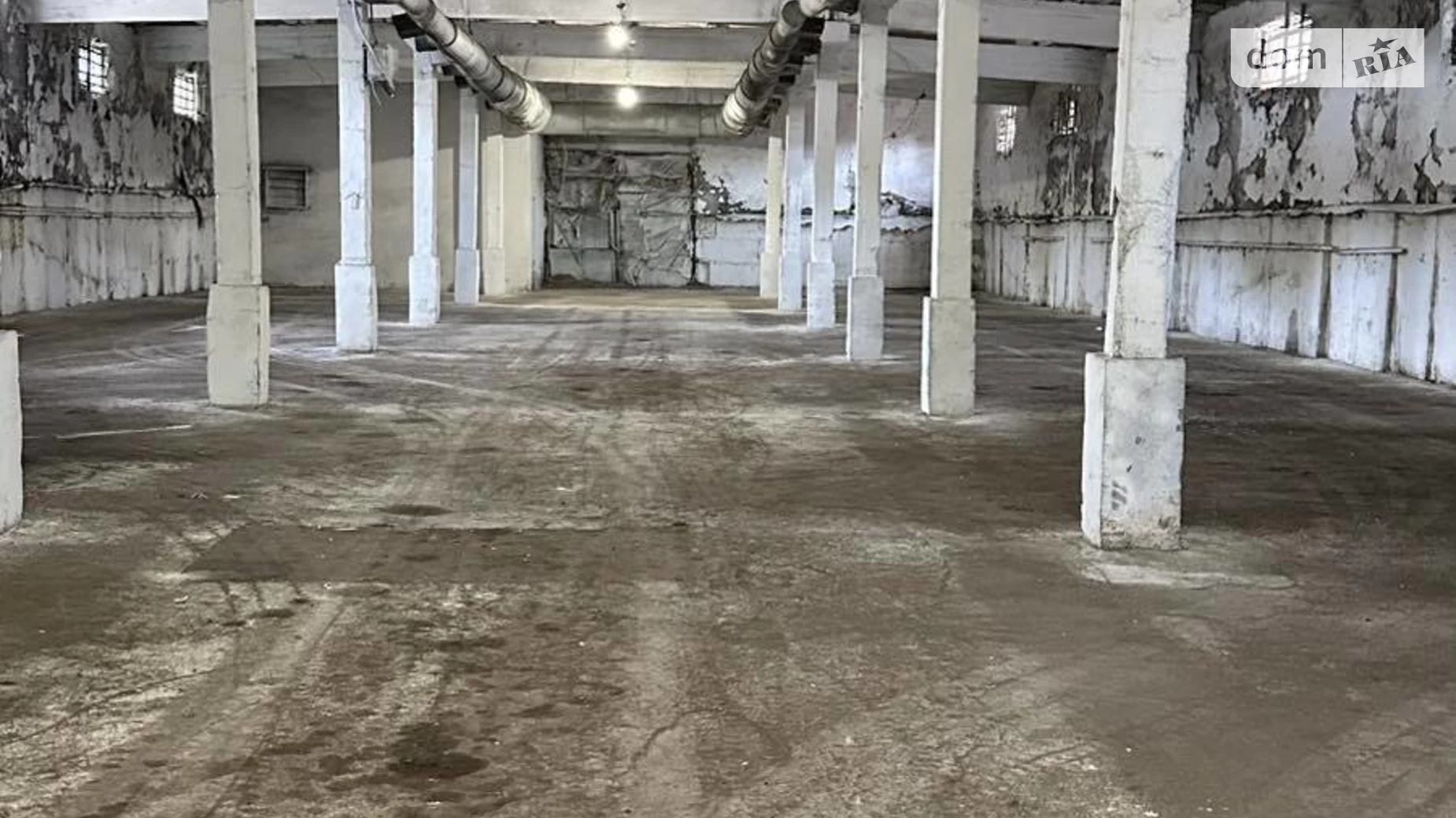 Сдается в аренду помещения свободного назначения 1000 кв. м в 1-этажном здании, цена: 45000 грн - фото 3