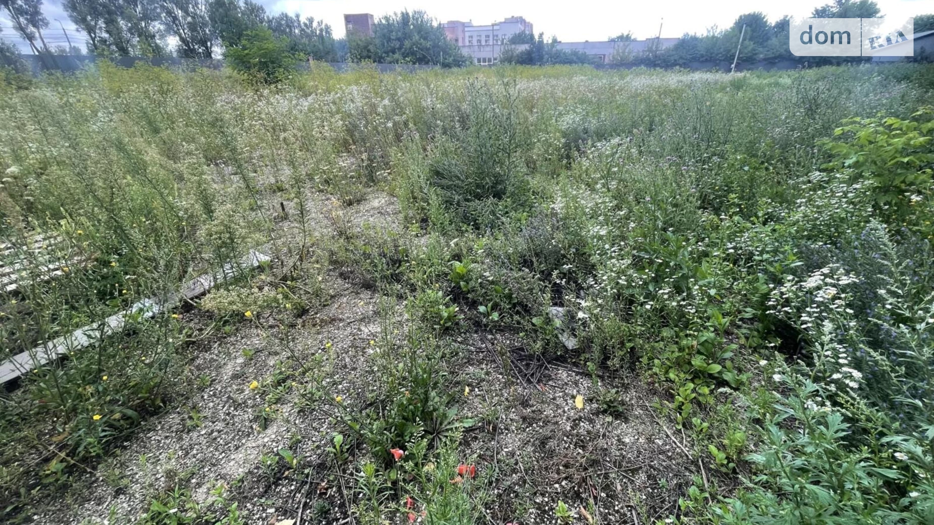 Продается земельный участок 43 соток в Тернопольской области, цена: 450000 $ - фото 5