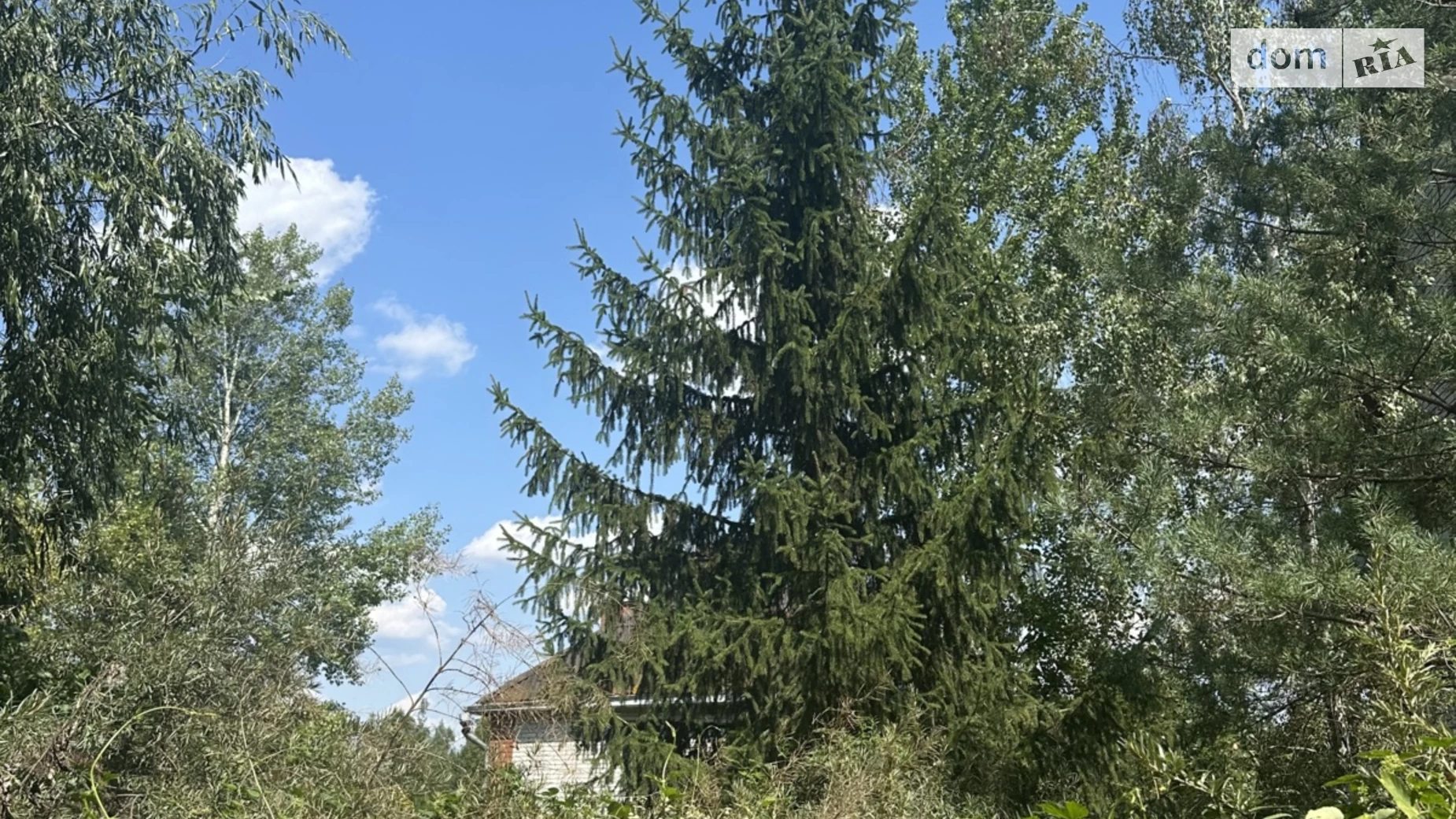 Вишенки (Киев), цена: 420000 $ - фото 4