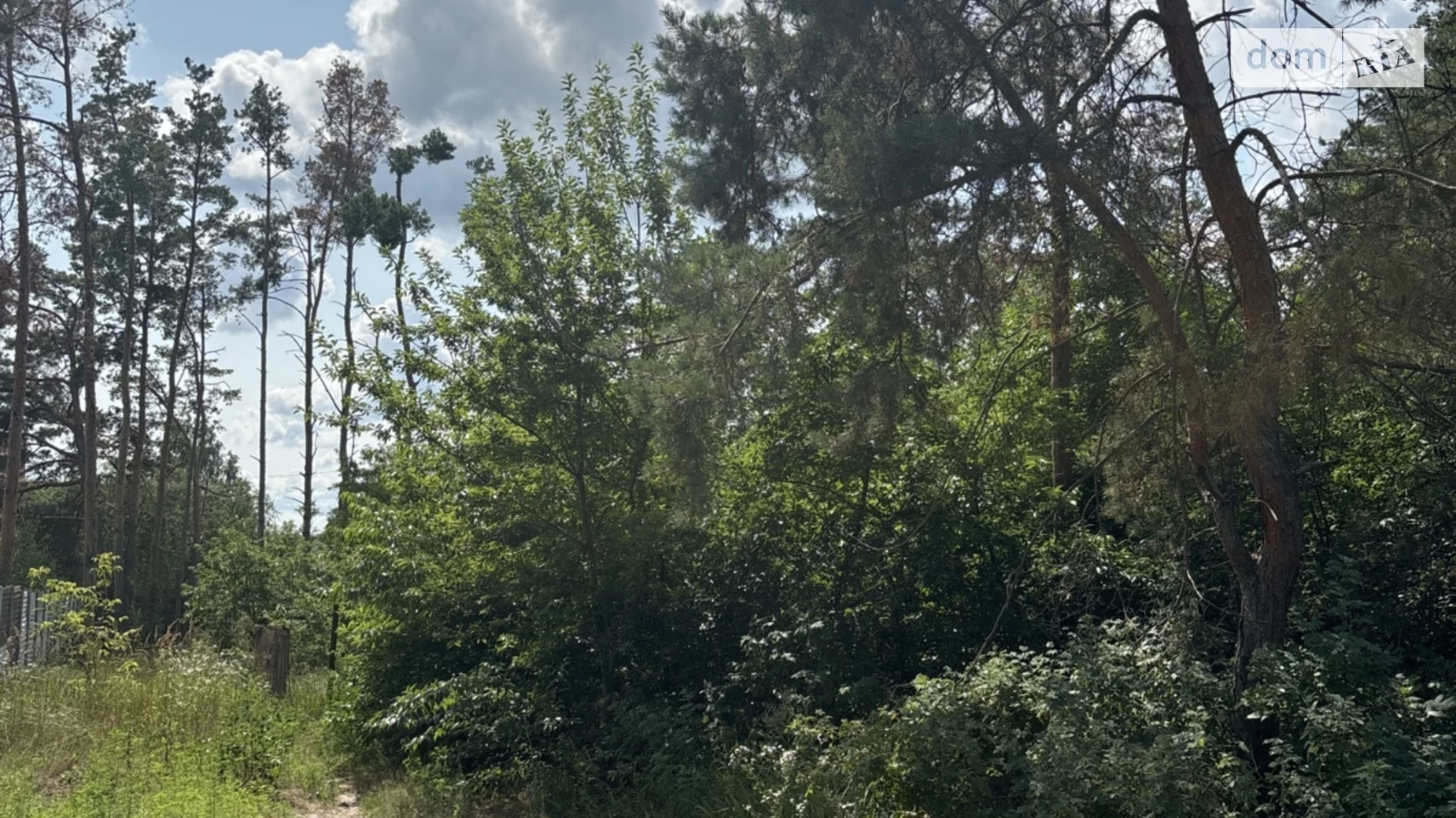 Продается земельный участок 20 соток в Киевской области, цена: 128000 $ - фото 4