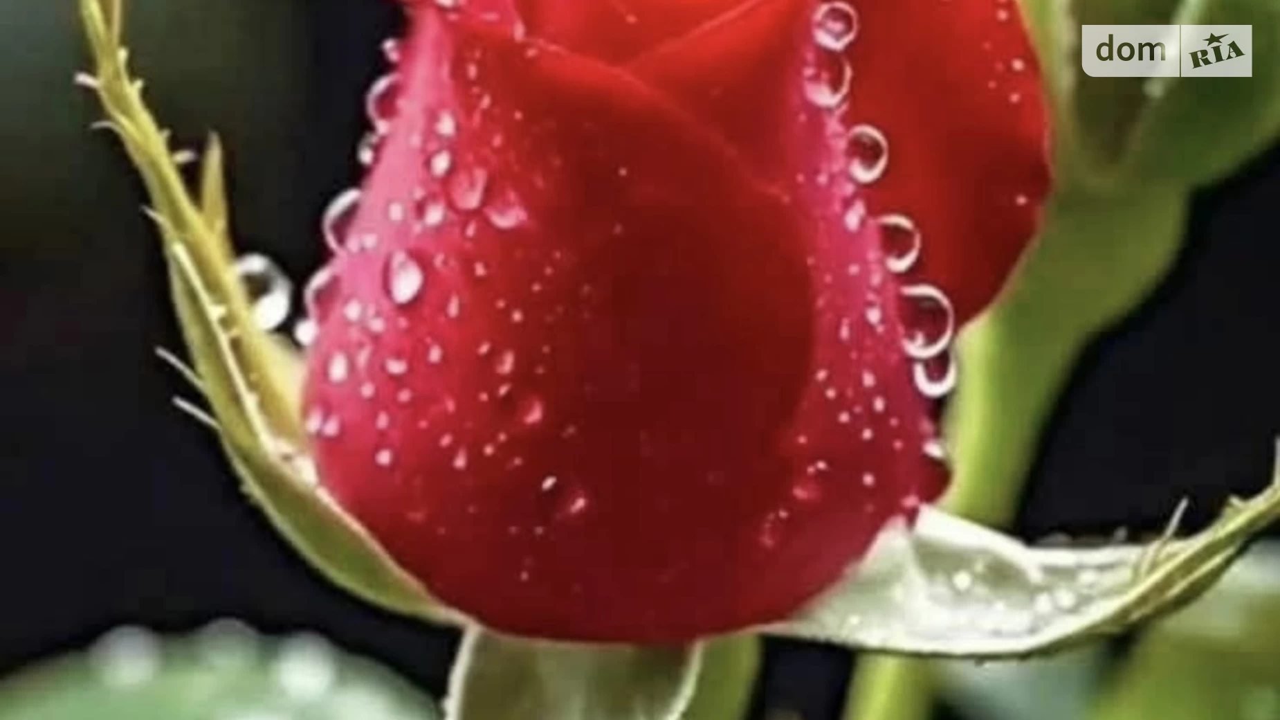 Продается 2-комнатная квартира 60 кв. м в Виннице, ул. Стрелецкая, 1 корпус 1 - фото 5