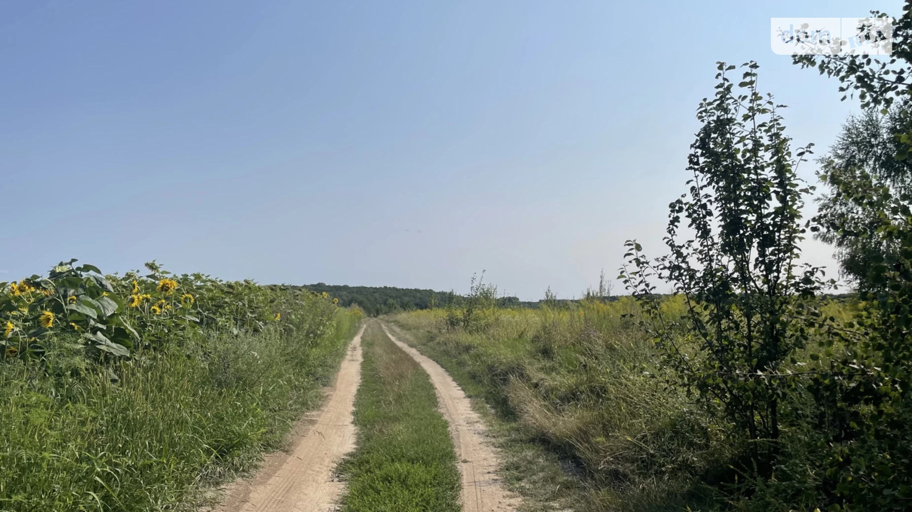 Продается земельный участок 8 соток в Винницкой области, цена: 4500 $ - фото 5