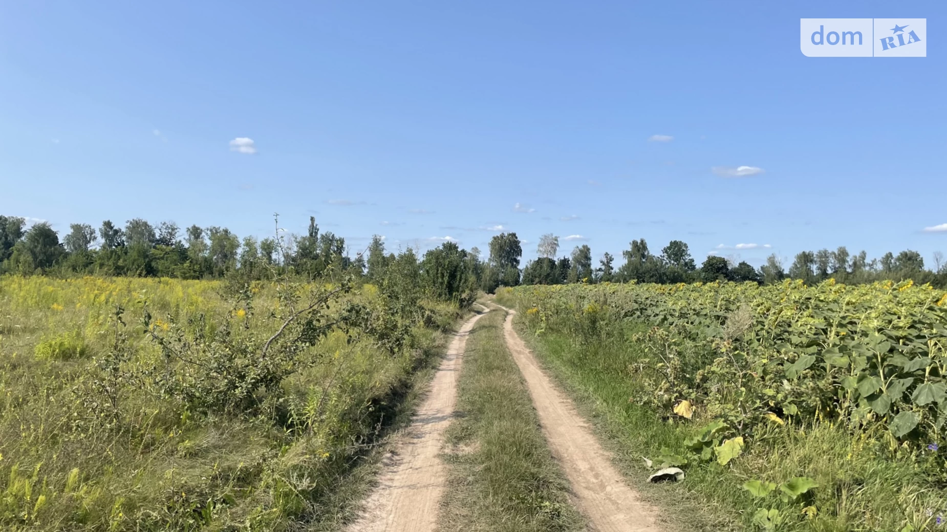 Продается земельный участок 8 соток в Винницкой области, цена: 4500 $ - фото 4