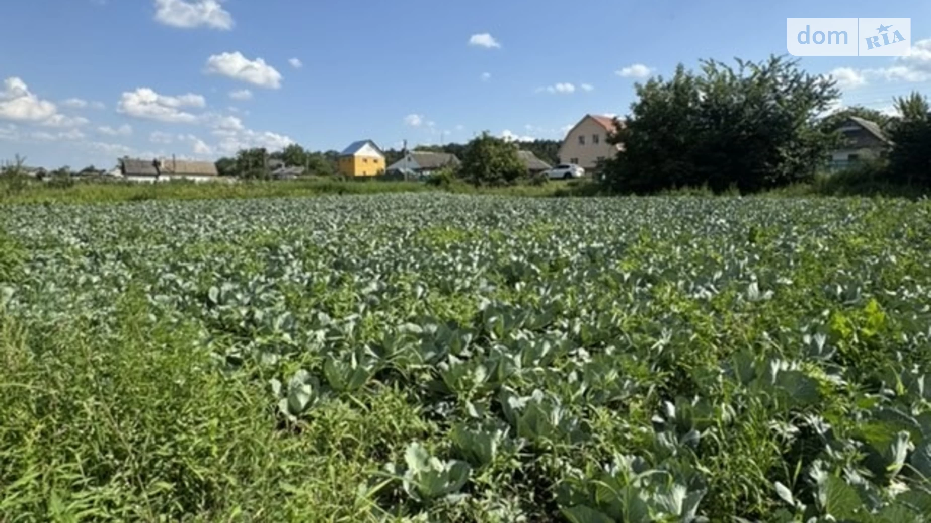 Зарічна Селище (Тывров), цена: 15000 $ - фото 4